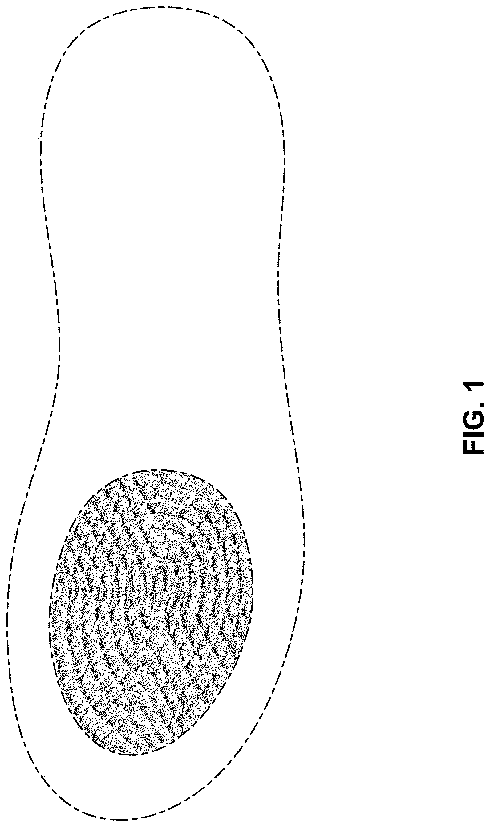 Patent USD0999502 — Shoe — Figure 1