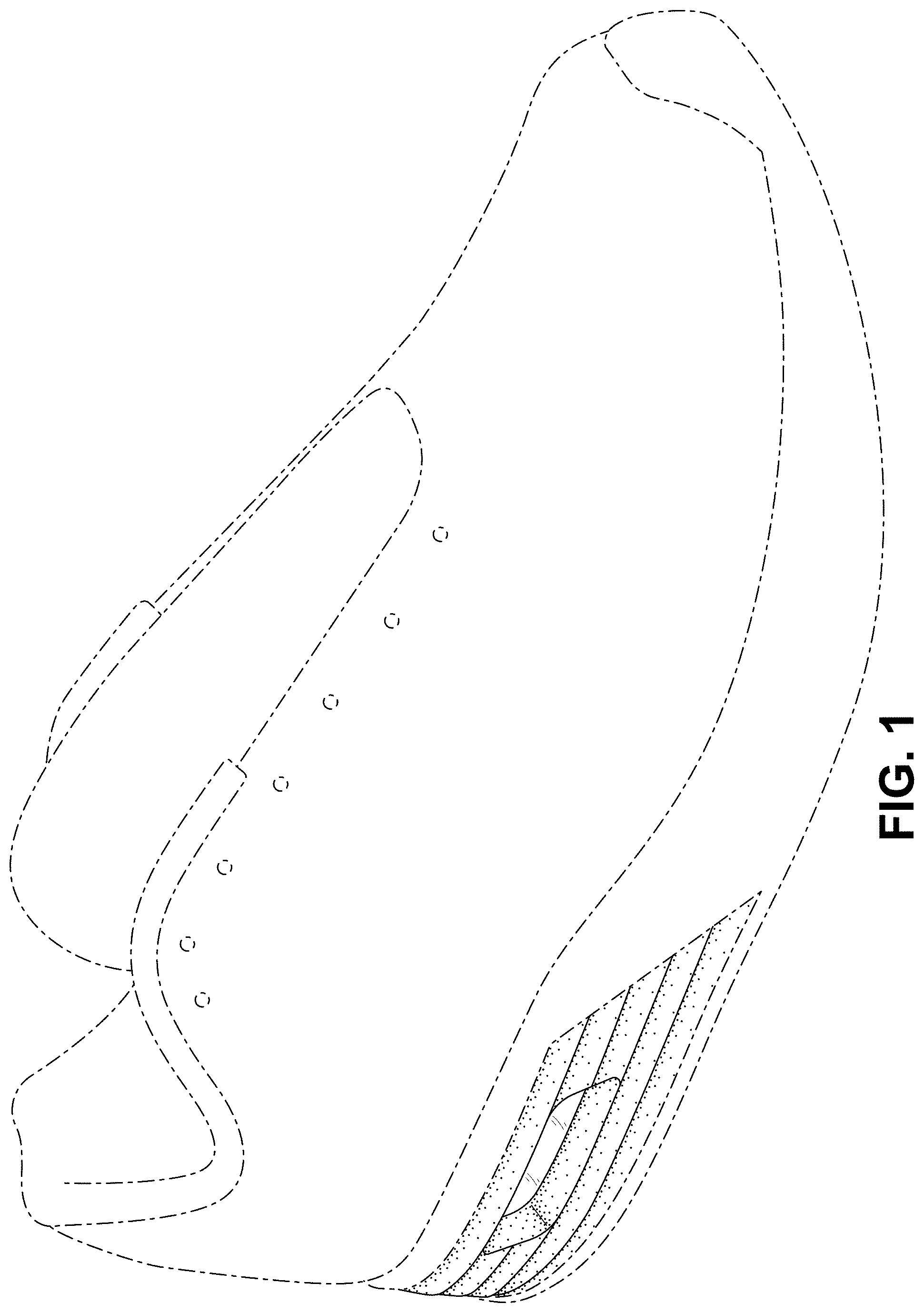Patent USD1000069 — Shoe — Figure 1