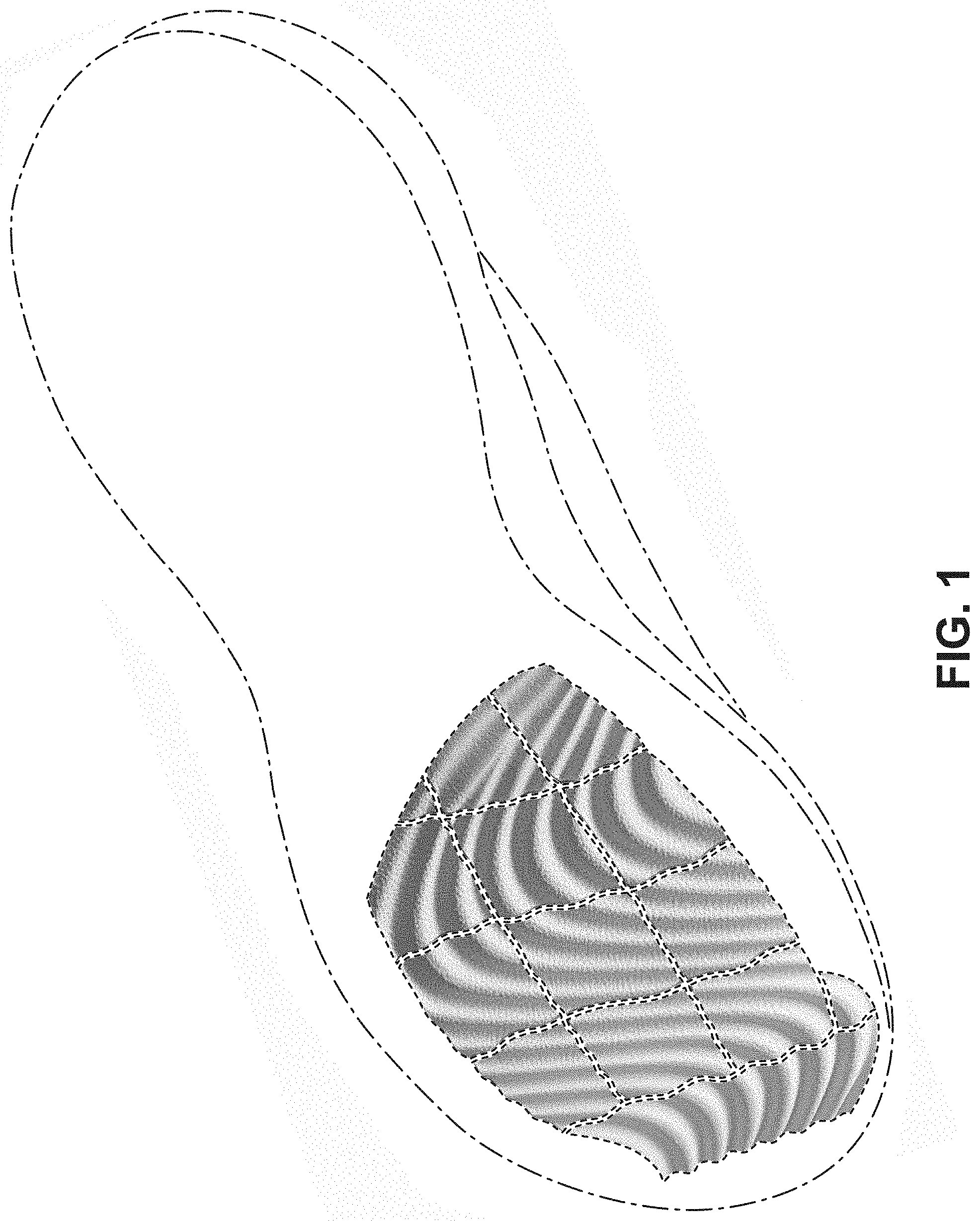 Patent USD1000071 — Shoe — Figure 1