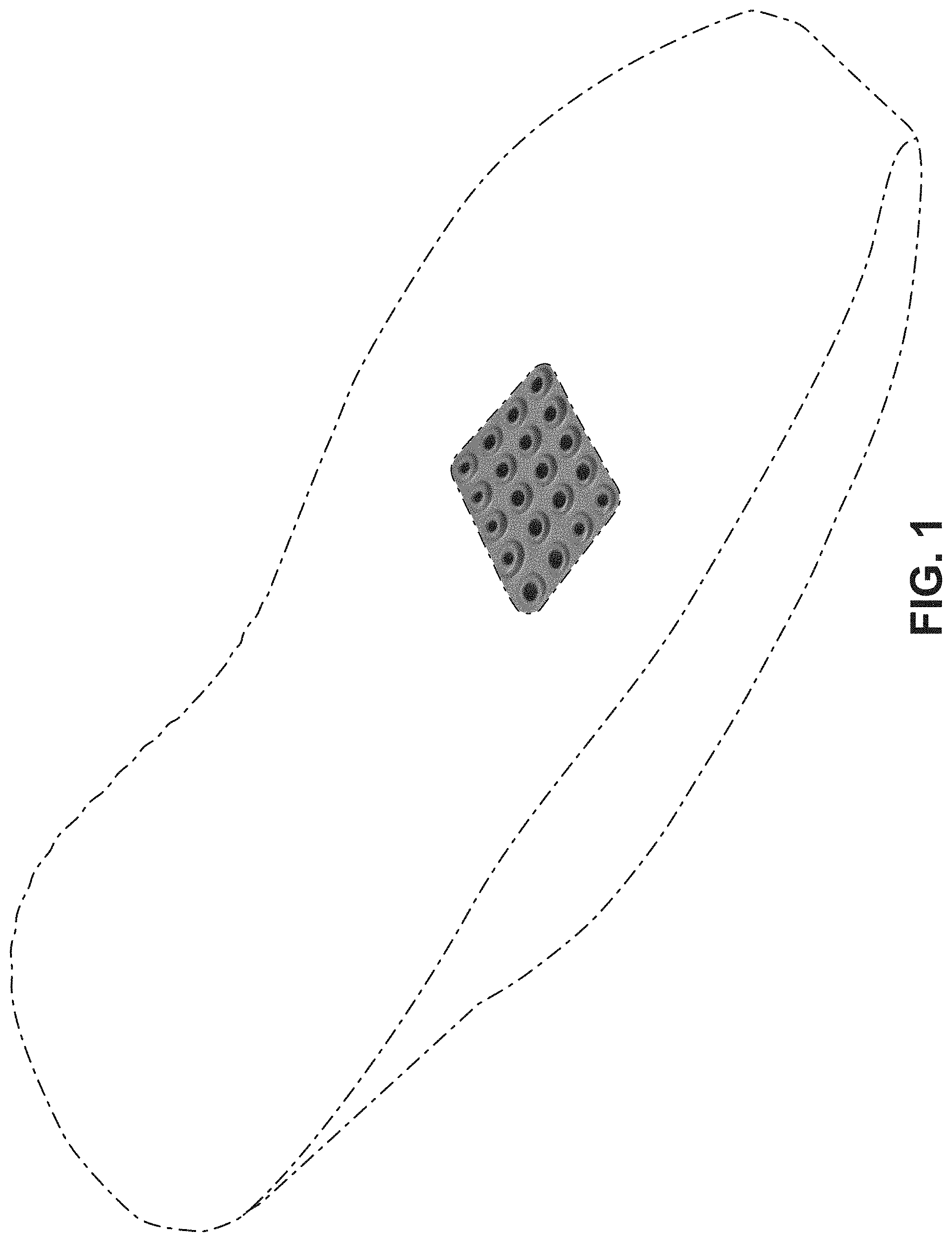 Patent USD1000074 Figure 1 – Shoe