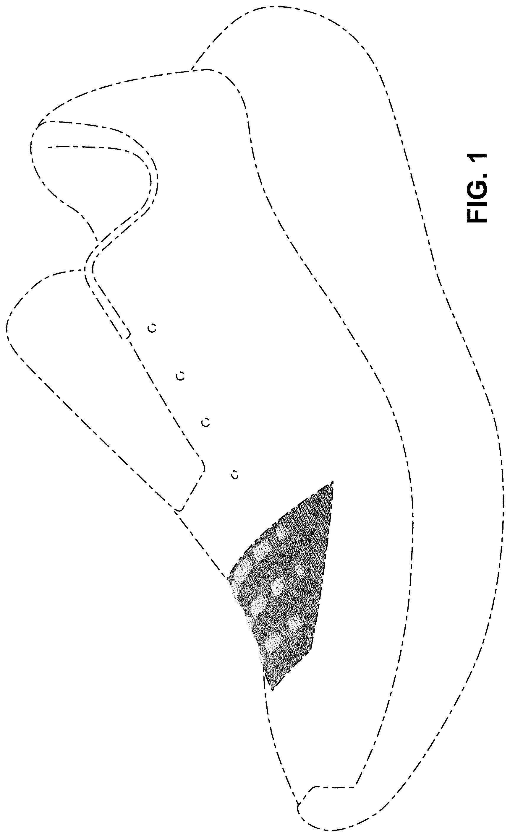 Patent USD1000098 — Shoe — Figure 1