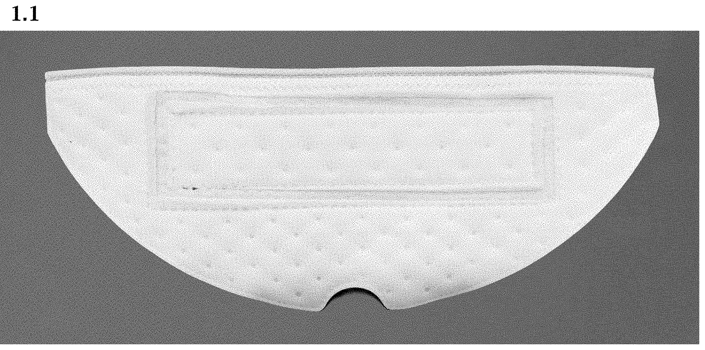 Patent USD1000742 Figure 1 – Replaceable cleaning cloth for robotic cleaner