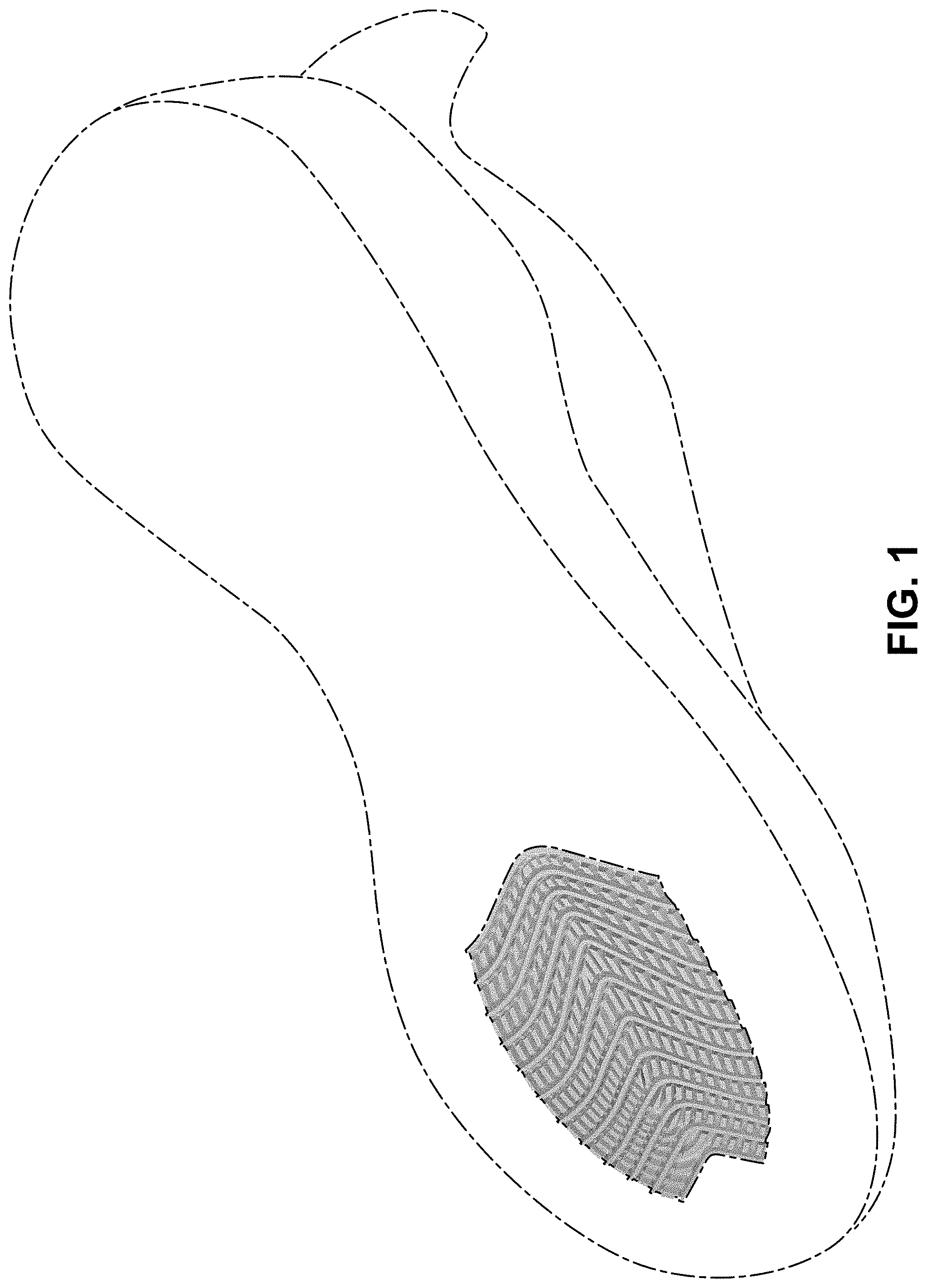 Patent USD1000785 — Shoe — Figure 1