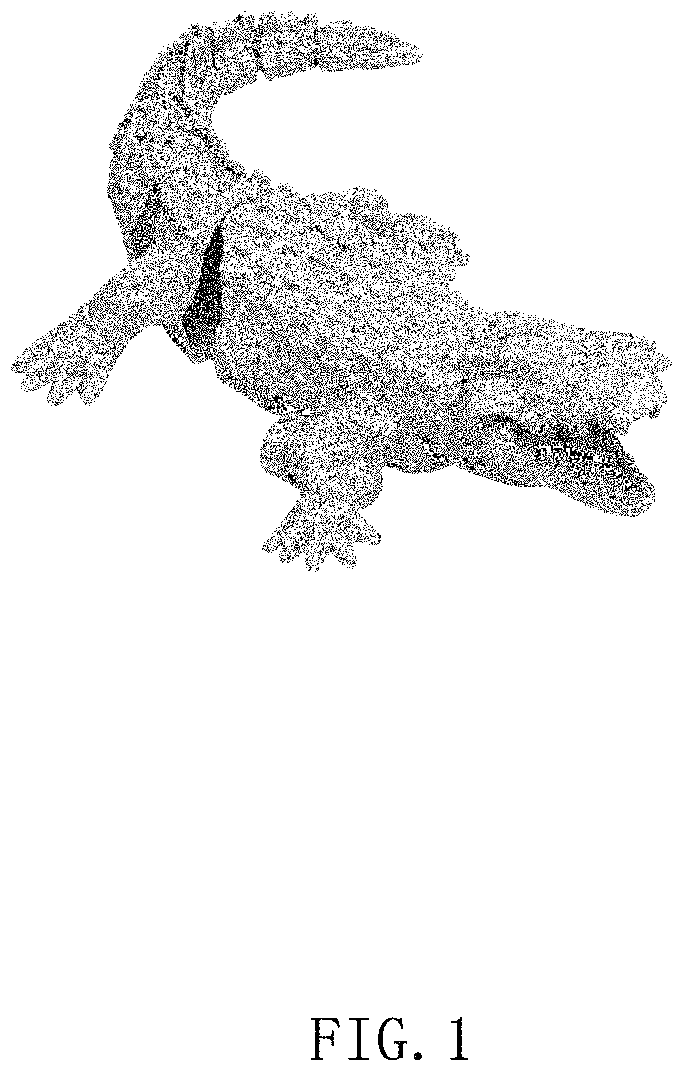 Patent USD1001209 — Remote-controlled crocodile — Figure 1
