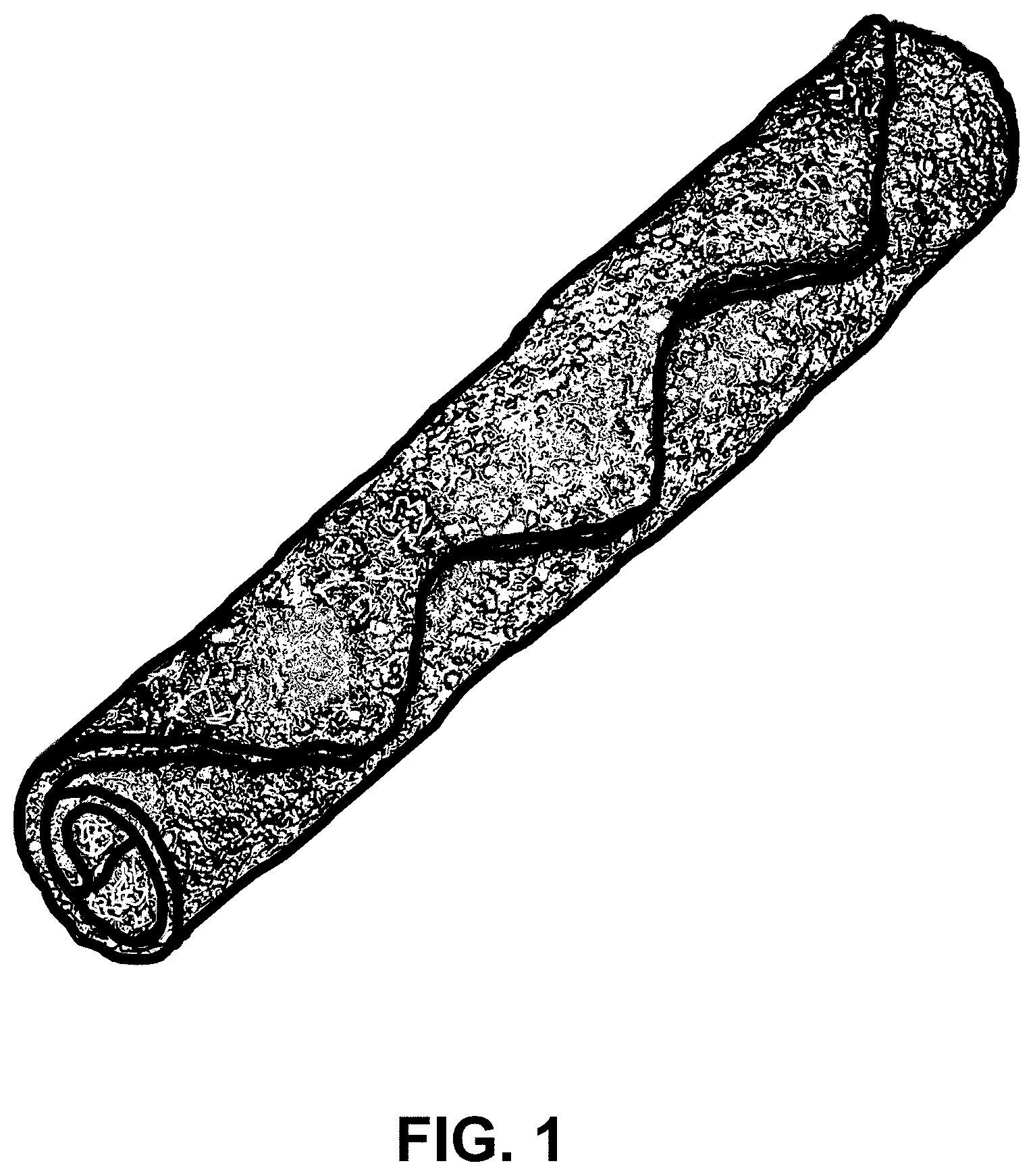 Patent USD1001414 — Food product — Figure 1