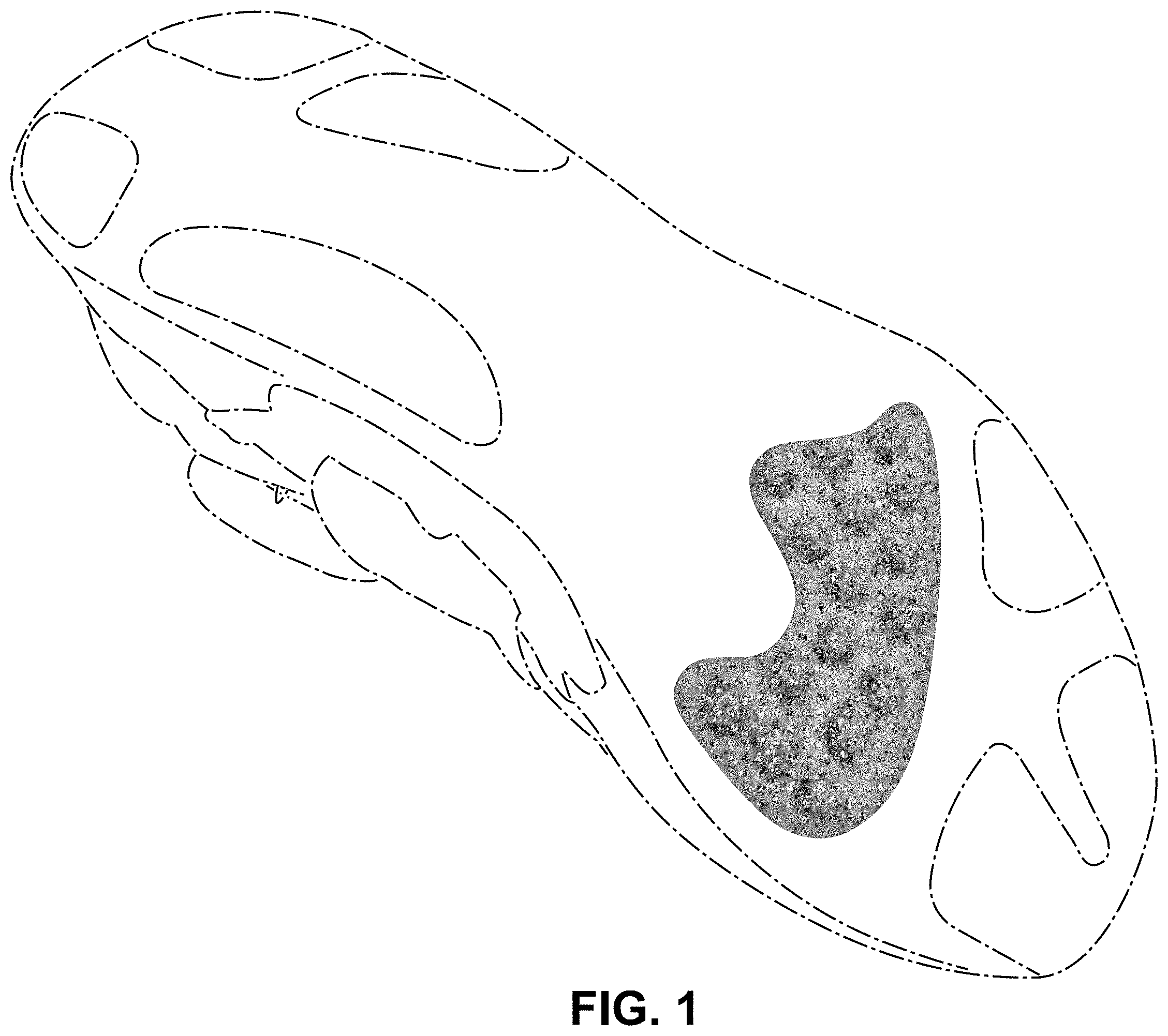 Patent USD1001443 — Shoe — Figure 1
