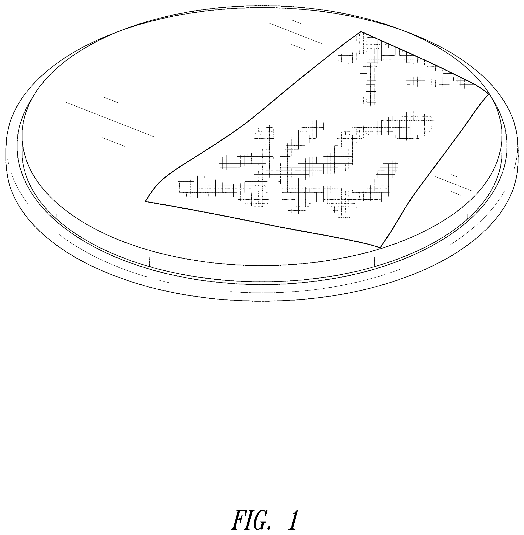Patent USD1001925 Figure 1 – Slider disc with strap