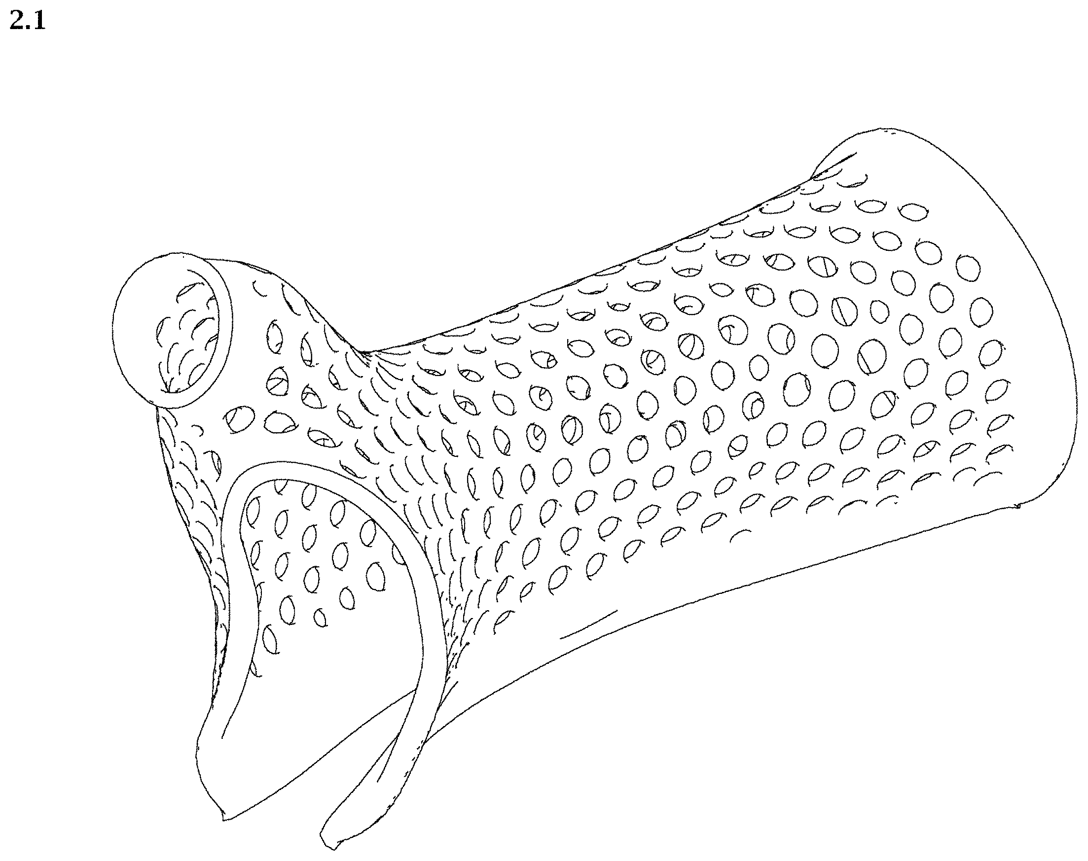 Patent USD1002021 — Wrist and thumb splint — Figure 1