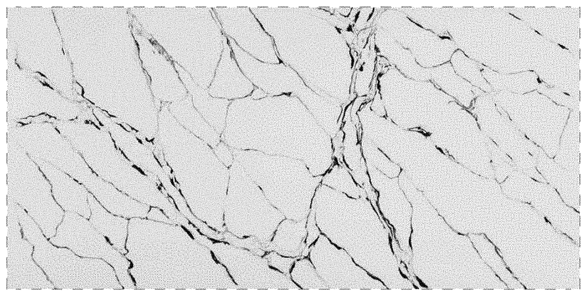 Patent USD1002036 — Artificial quartz stone slab pattern — Figure 1