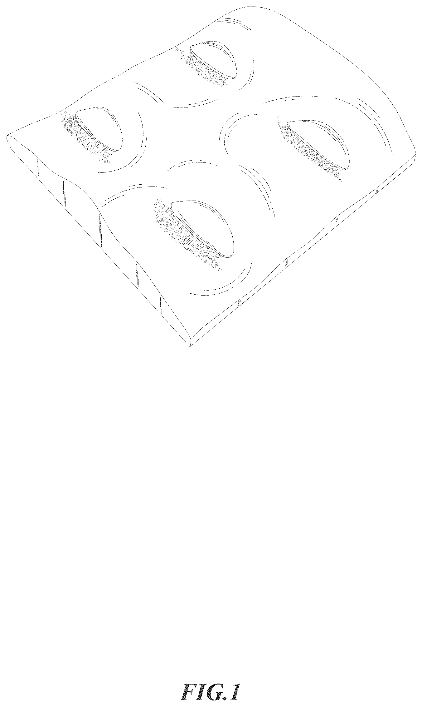 Patent USD1002111 — Realistic removable eyelids practice eyelashes set — Figure 1