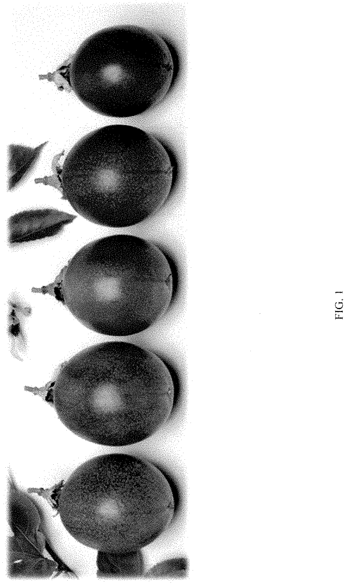 Patent USPP035408 — Passion fruit plant ‘Grand Passion’ — Figure 1