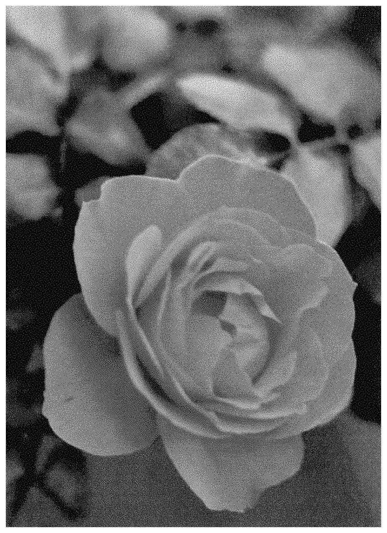 Patent USPP035442 Figure 1 – Floribunda shrub rose plant named ‘ALTorcaptain’