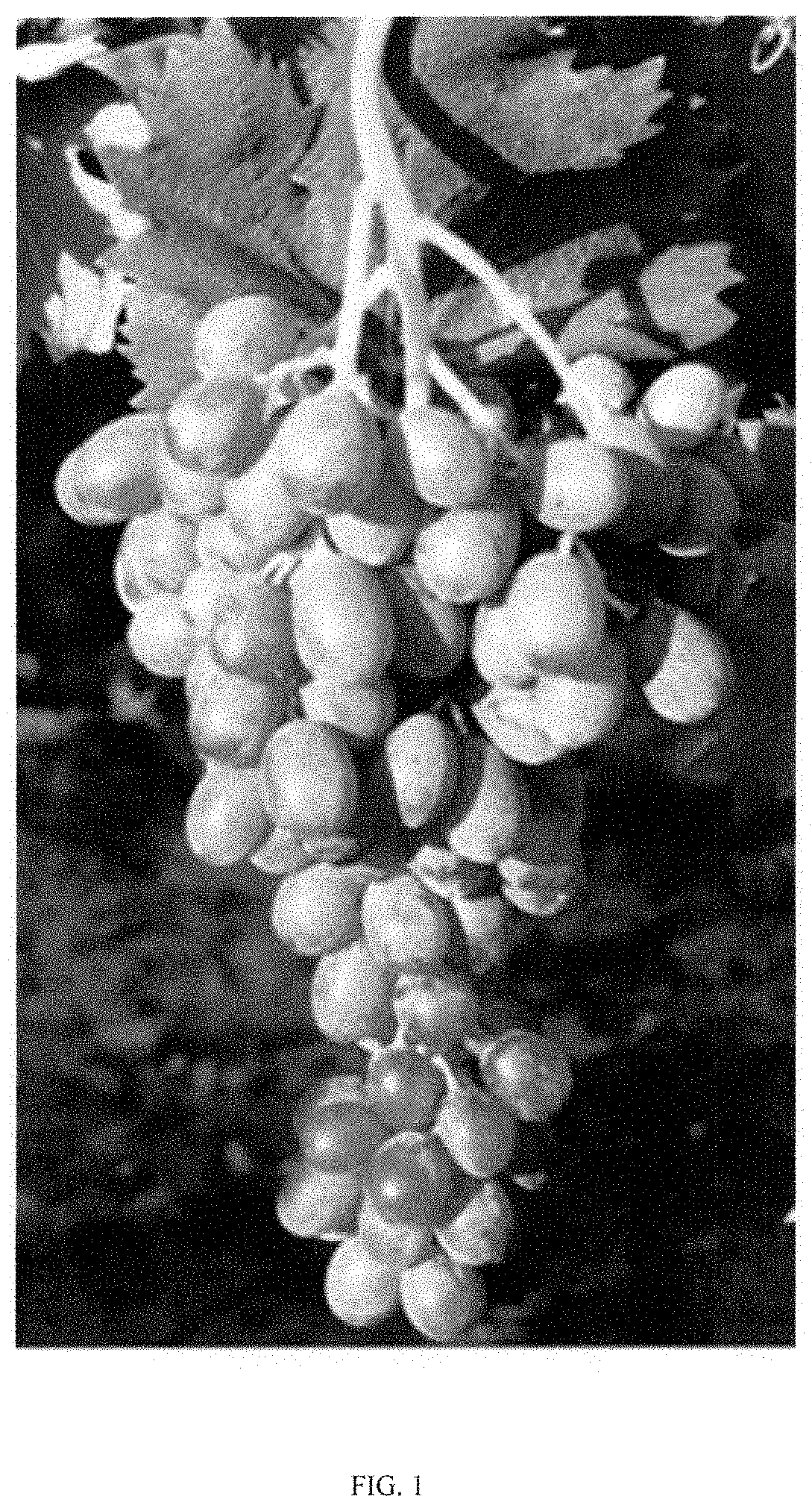 Patent USPP035469 Figure 1 – Seedless table grape (grapevine) named ‘Itumseven’