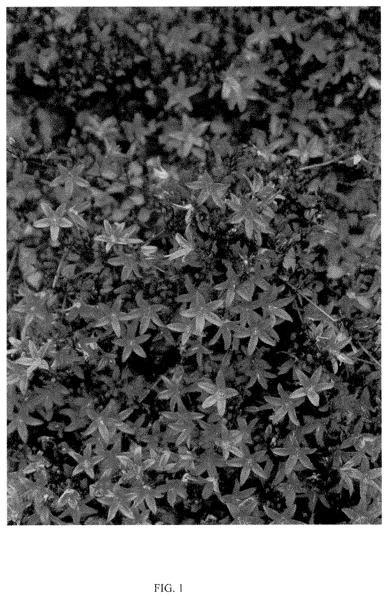 Patent USPP035481 Figure 1 – Campanula plant named ‘Purple Fountain’