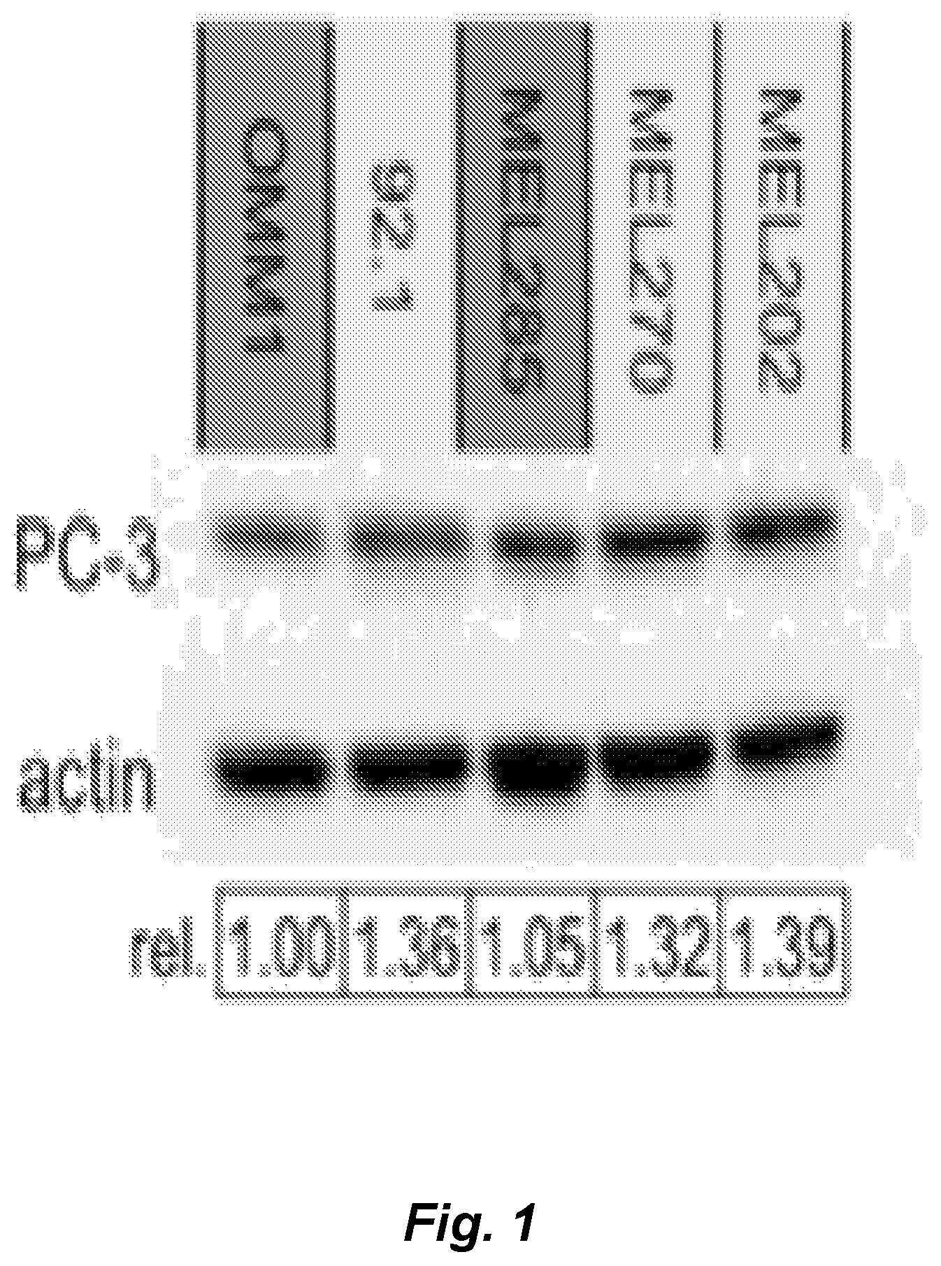 Patent US12090153 — Combination therapy for the treatment of uveal melanoma — Figure 1