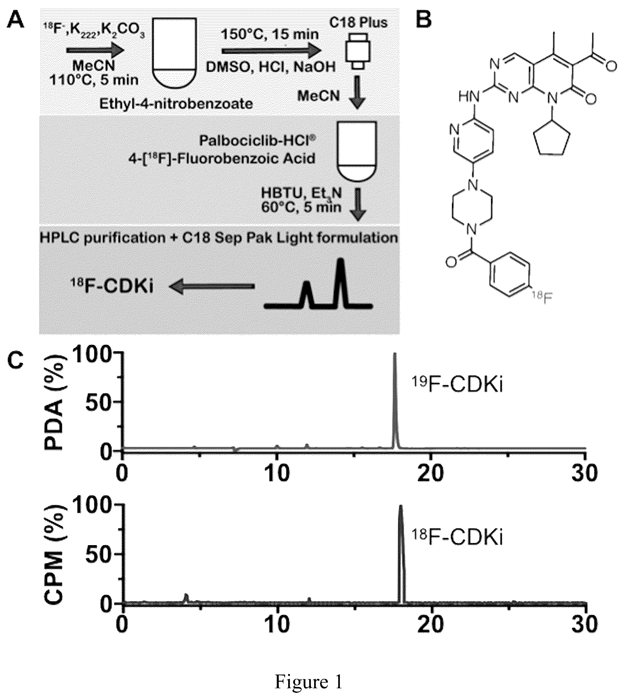 Patent US12090157 Figure 1 – Non-invasive pet imaging of CDK4/6 activation in cancer