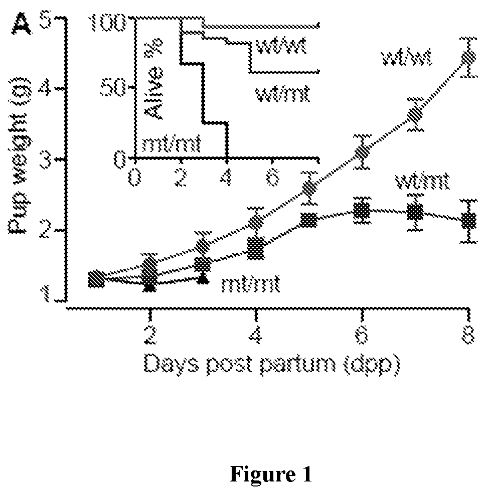 Patent US12090165 — Methods for reducing or shutting down lactation in non-human mammals and reagents therefor — Figure 1
