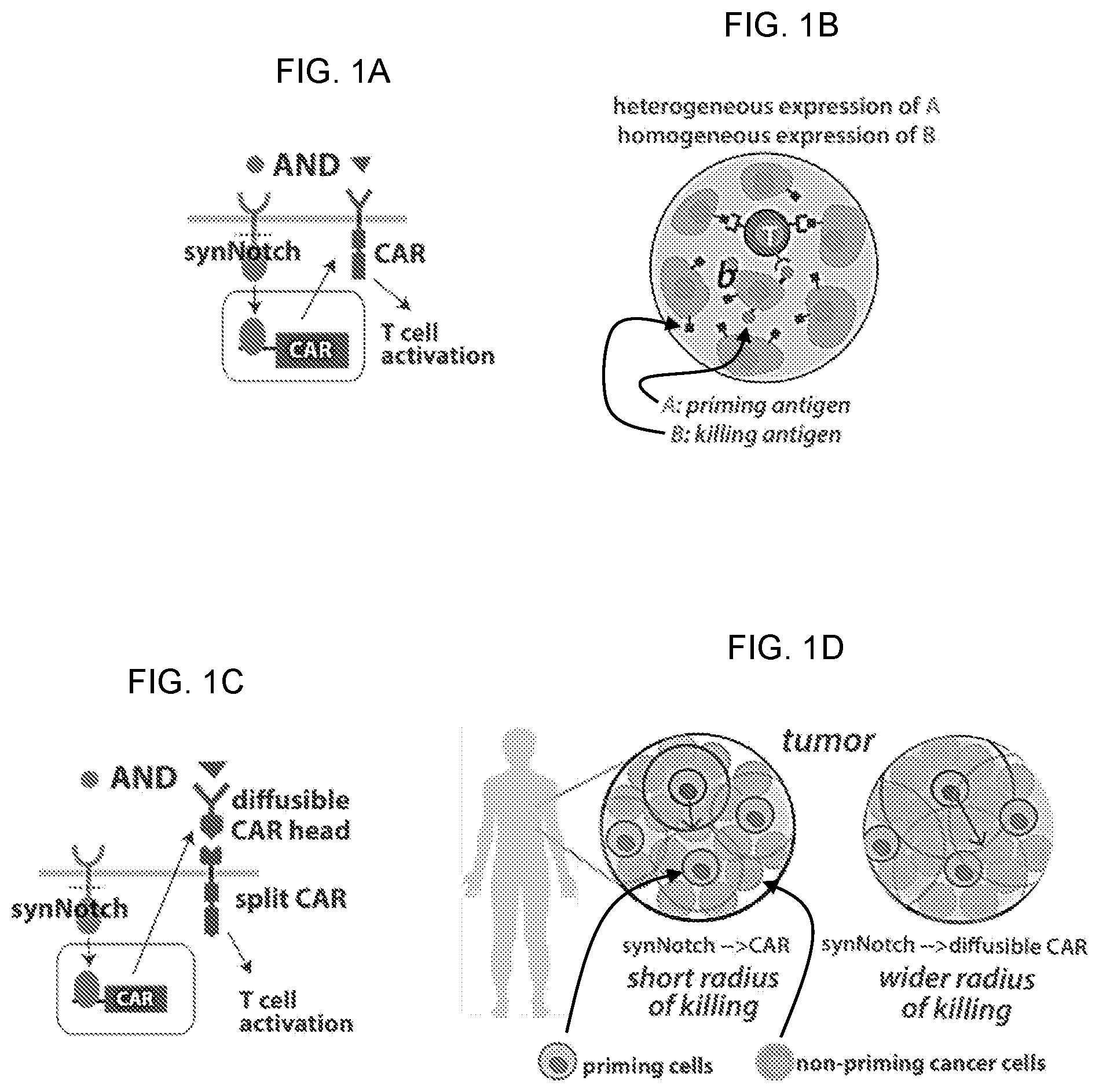 Patent US12090170 — Methods of treating glioblastomas — Figure 1