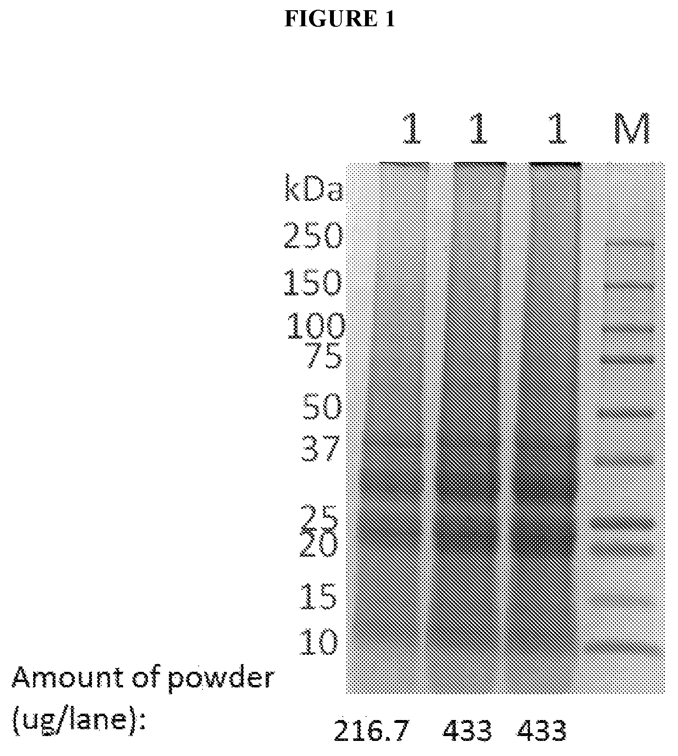 Patent US12090178 — Methods for making mixed allergen compositions — Figure 1