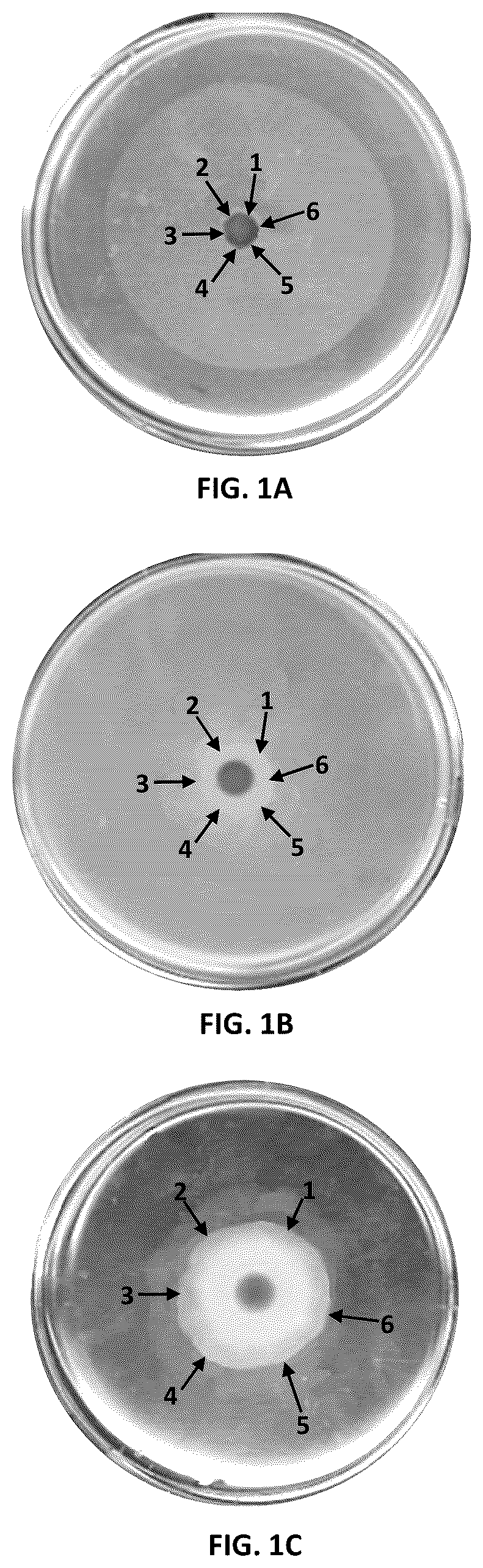 Patent US12090180 — Microbial hyperswarmers and uses thereof — Figure 1