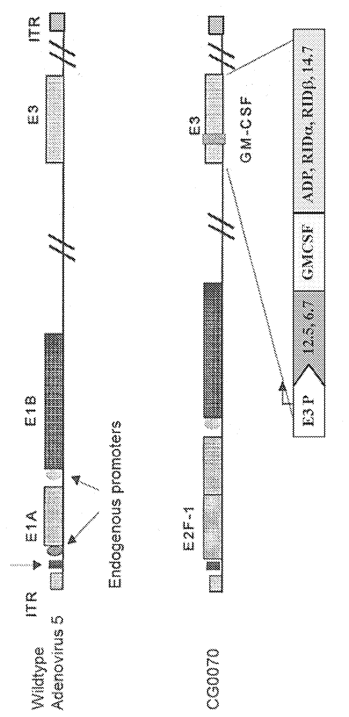 Patent US12090183 — Methods of treating solid or lymphatic tumors by combination therapy — Figure 1