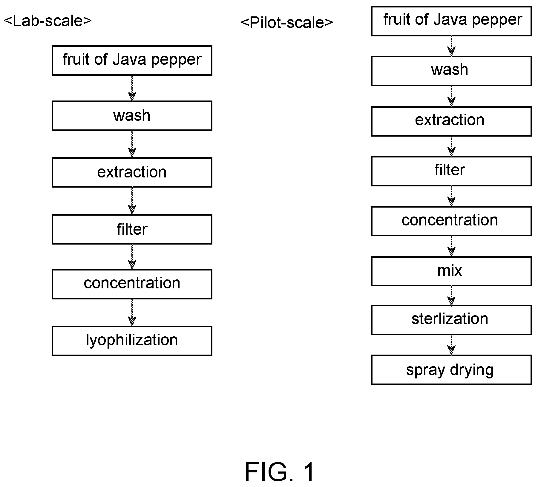 Patent US12090187 — Method for preventing or treating diseases related to vascular endothelial cell activity regulation, comprising a step of administering java pepper extract — Figure 1