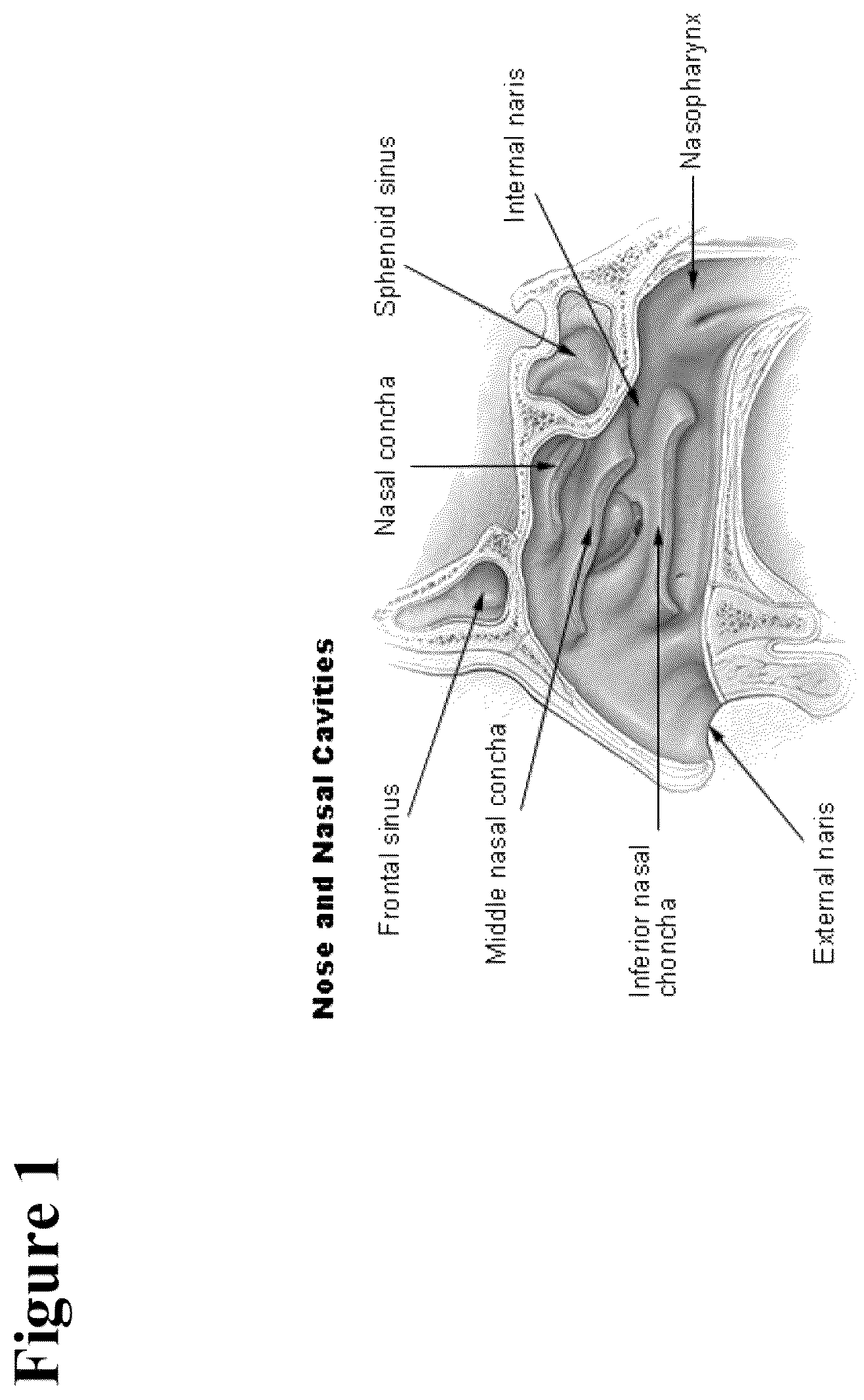 Patent US12090190 — Safe desmopressin administration — Figure 1