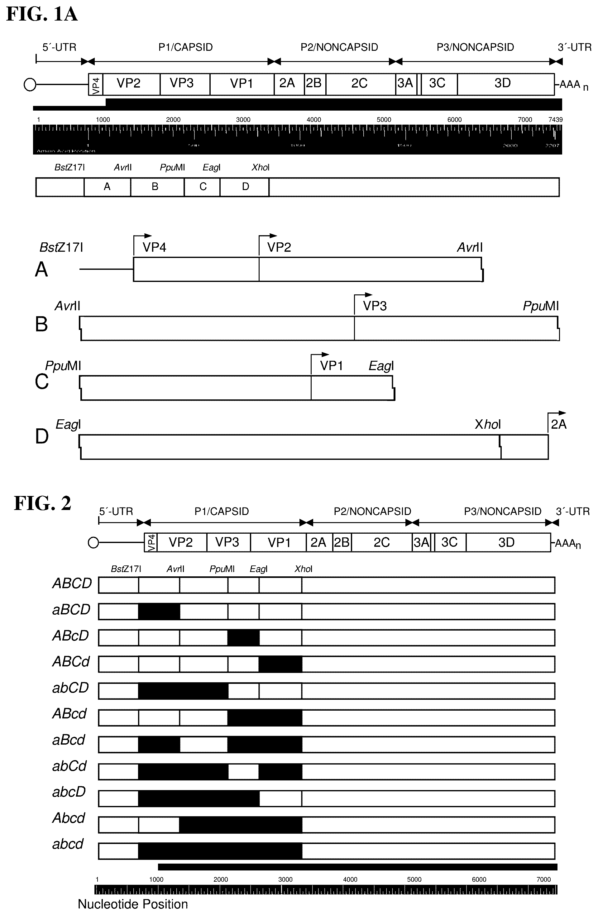 Patent US12090197 — Modulation of replicative fitness by deoptimization of synonymous codons — Figure 1