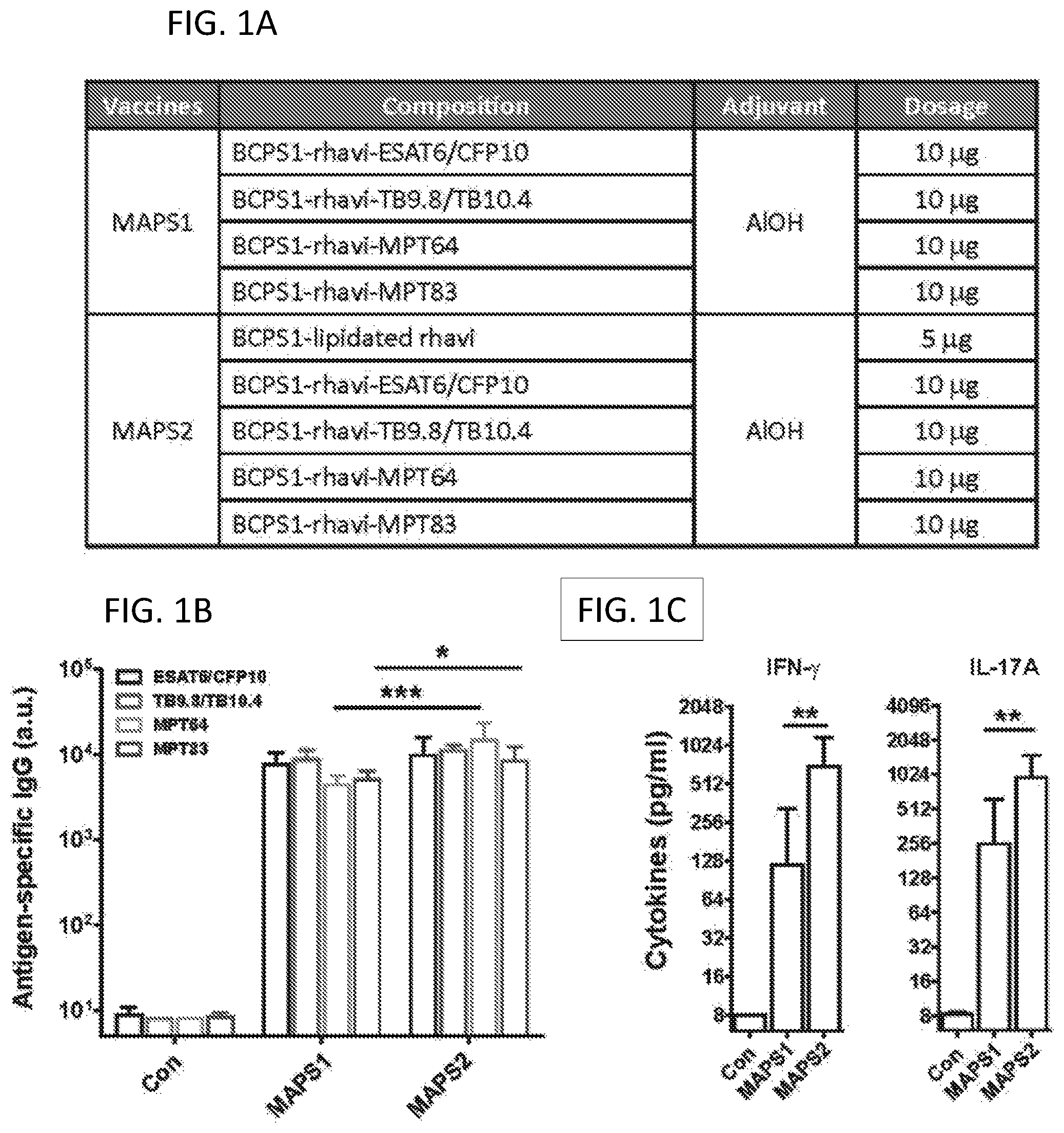 Patent US12090198 — Combined vaccine against mycobacterium tuberculosis — Figure 1