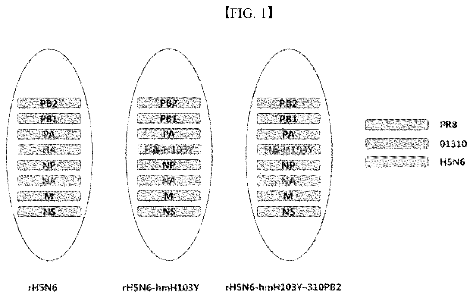 Patent US12090199 Figure 1 – H5N6 recombinant influenza virus, a composition for preparing the same, and a vaccine composition containing the same