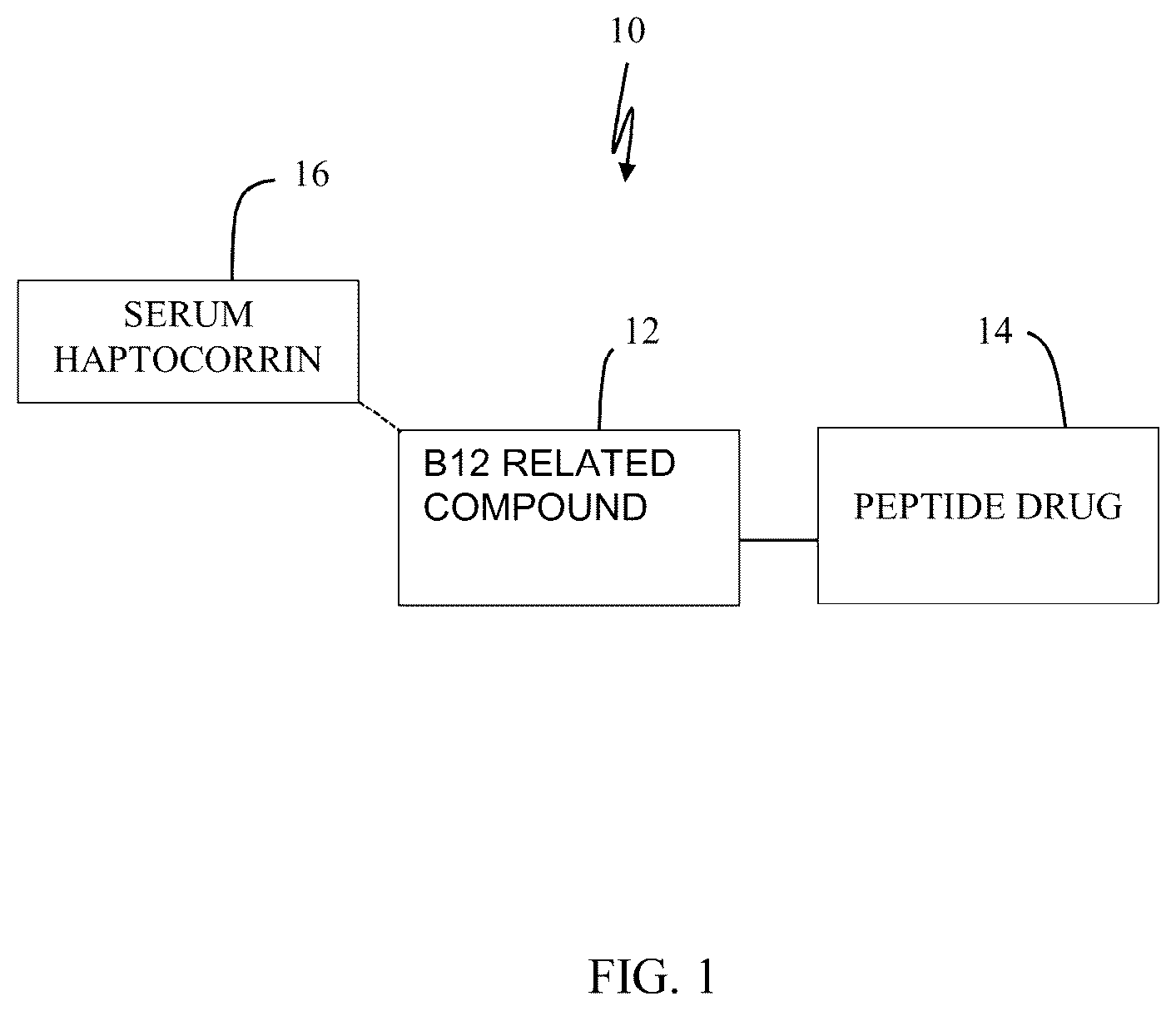 Patent US12090208 Figure 1 – Peptide drug improvement using vitamin B 12 and Haptocorrin binding substrate conjugates