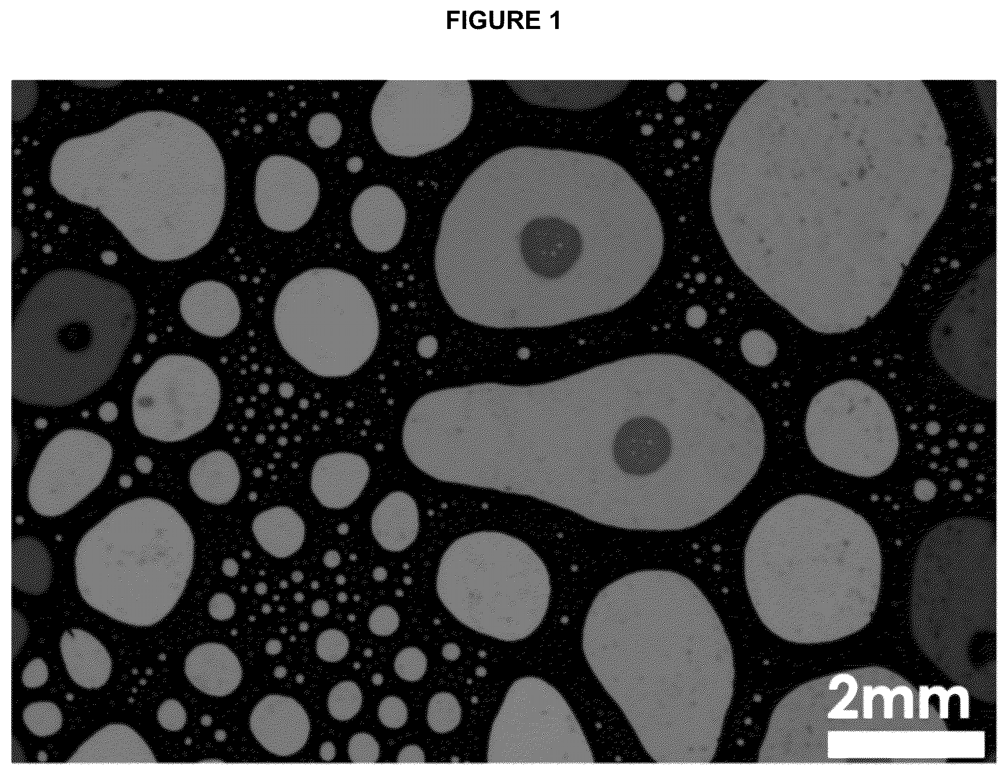 Patent US12090217 — Makeup setting mousse — Figure 1