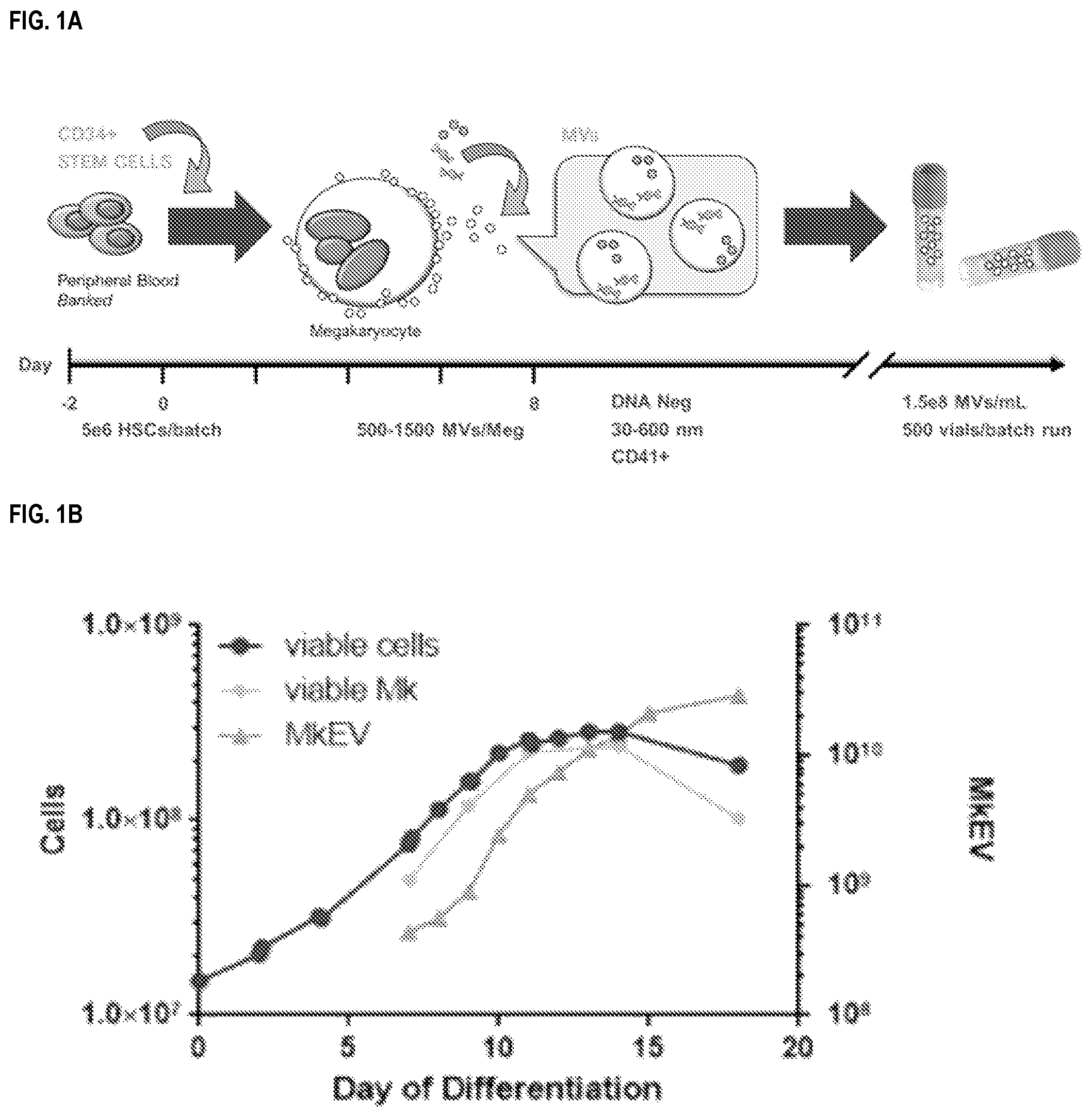 Patent US12090234 Figure 1 – Compositions and methods related to megakaryocyte-derived extracellular vesicles