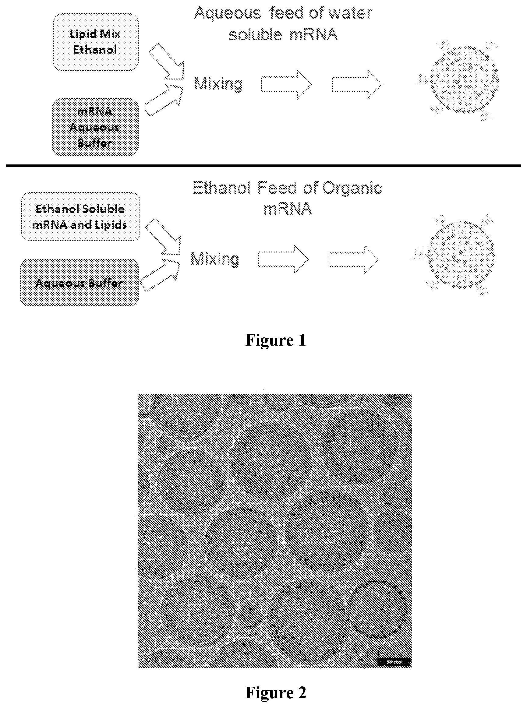 Patent US12090235 — Preparation of lipid nanoparticles and methods of administration thereof — Figure 1