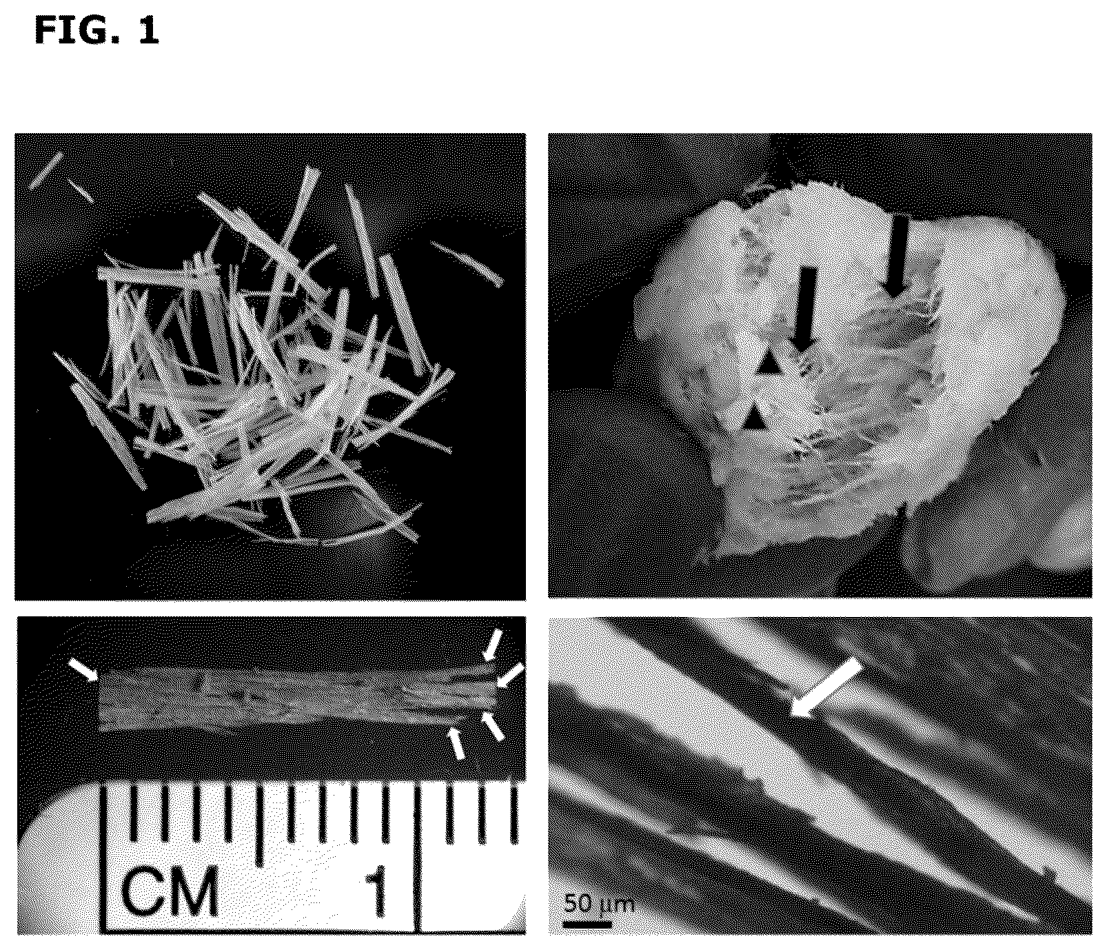 Patent US12090250 — Demineralized bone fibers and preparation thereof — Figure 1