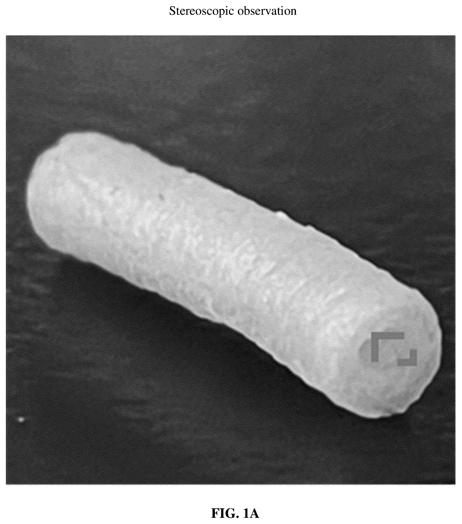 Patent US12090254 — Composite tubular material prepared from extracellular matrix and synthetic polymer, and preparation method thereof — Figure 1