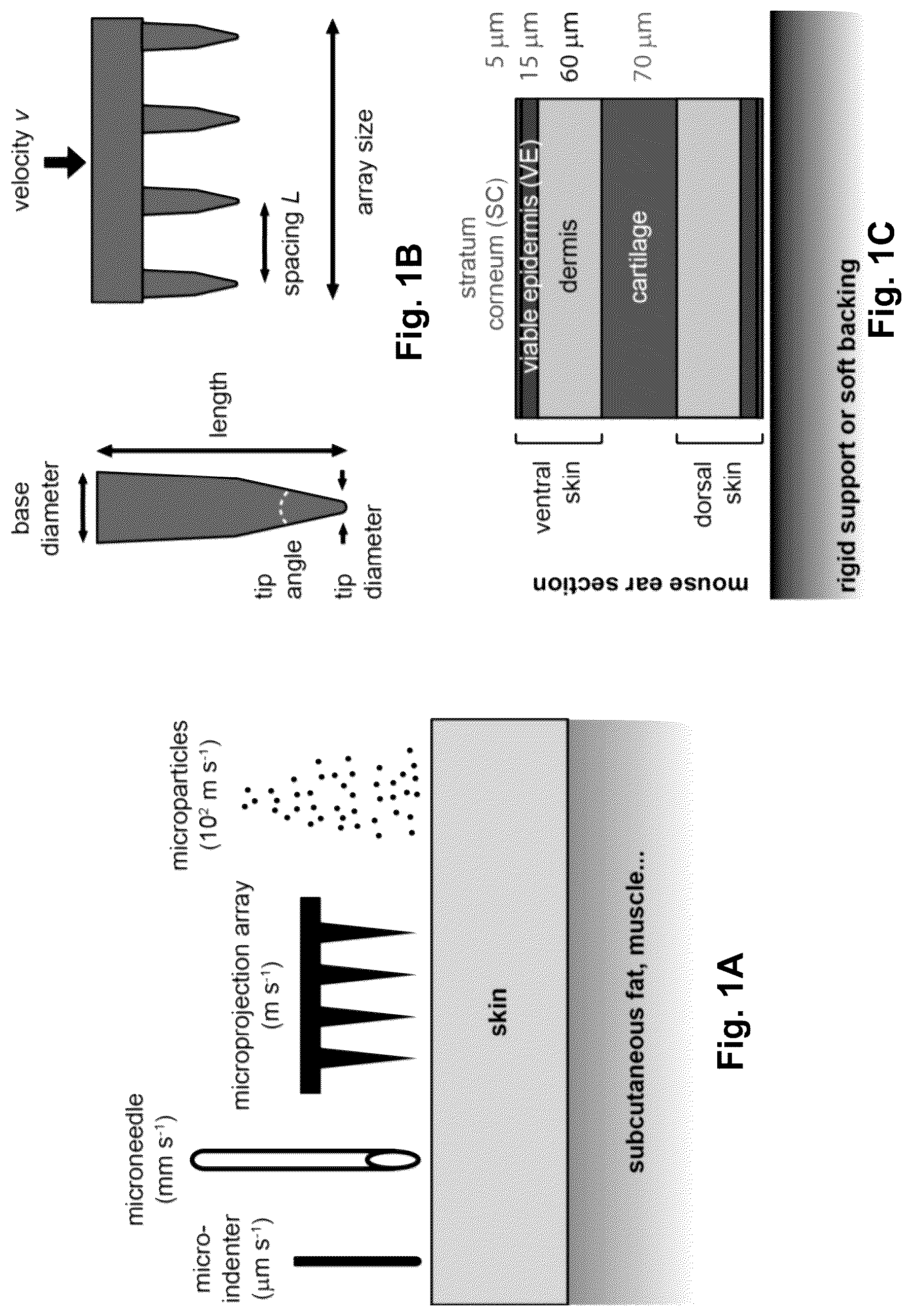 Patent US12090295 — Microprojection arrays with enhanced skin penetrating properties and methods thereof — Figure 1