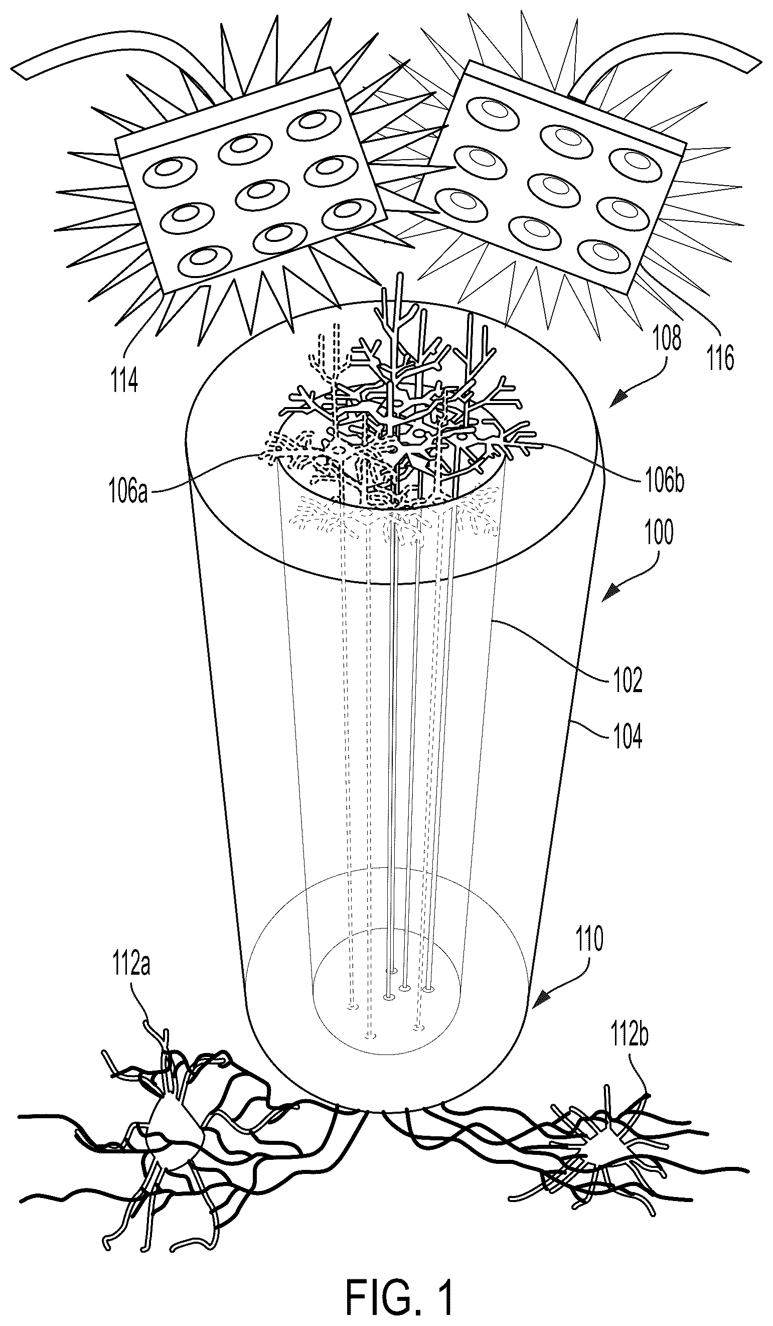 Patent US12090323 — Implantable living electrodes and methods for use thereof — Figure 1