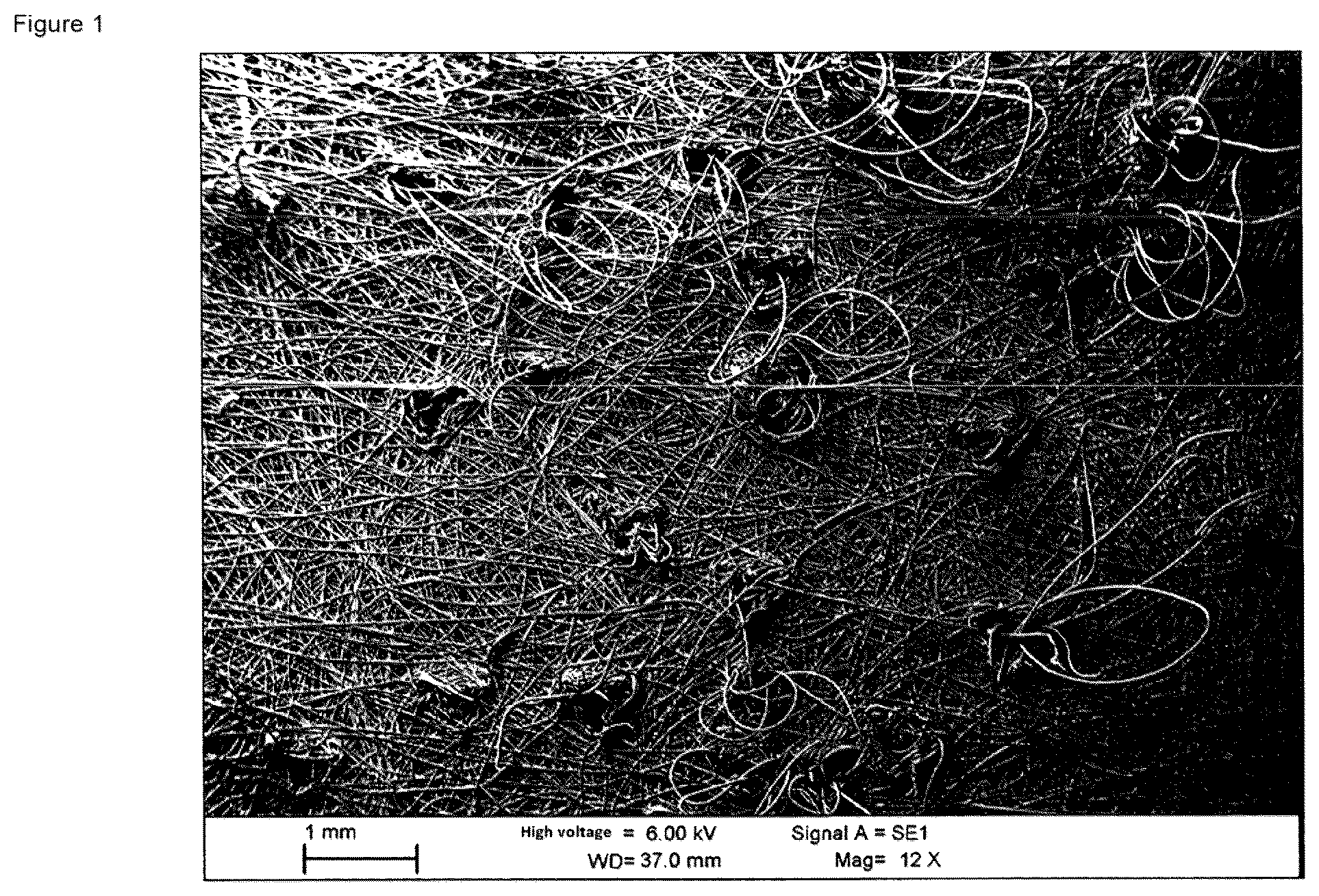 Patent US12090432 — Filter medium — Figure 1