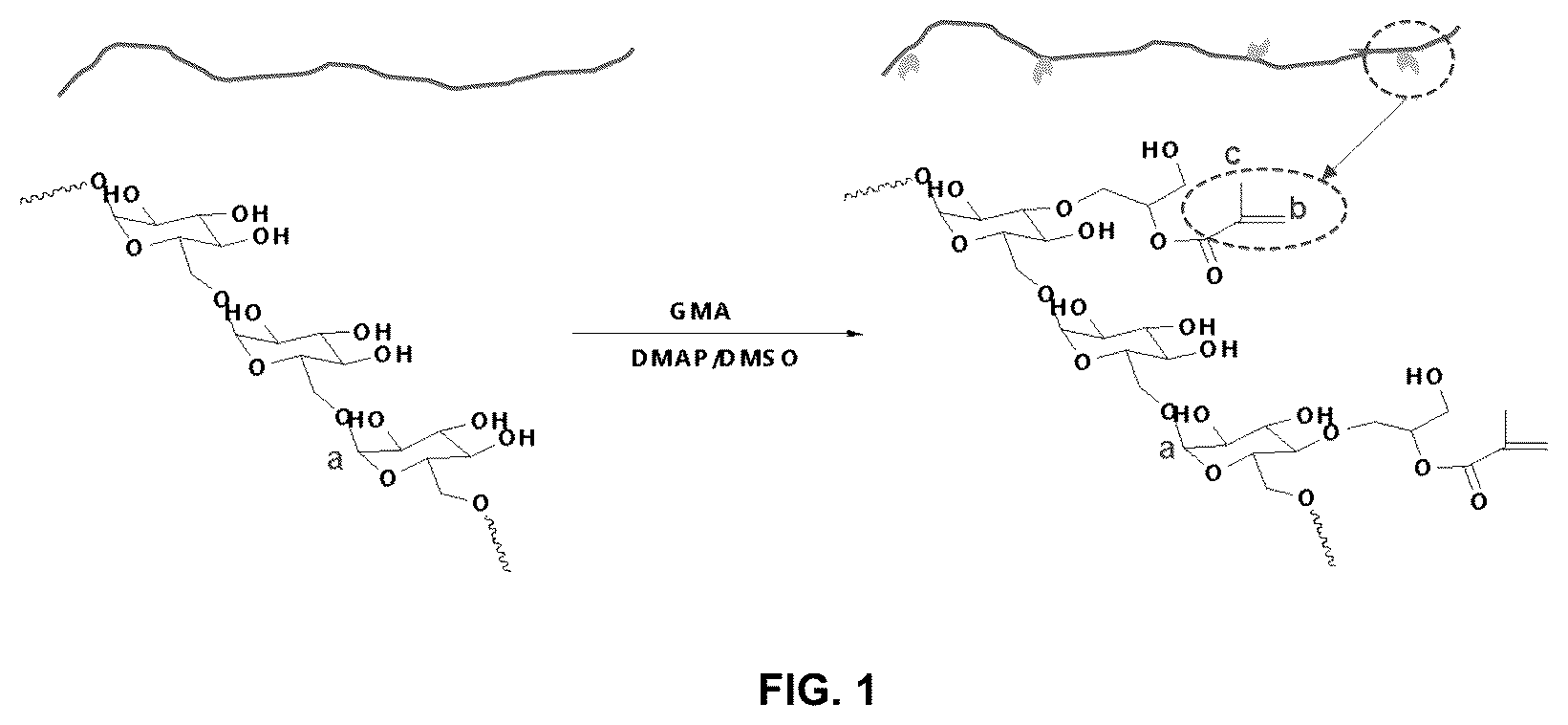 Patent US12090459 — Photodegradable hydrogel — Figure 1