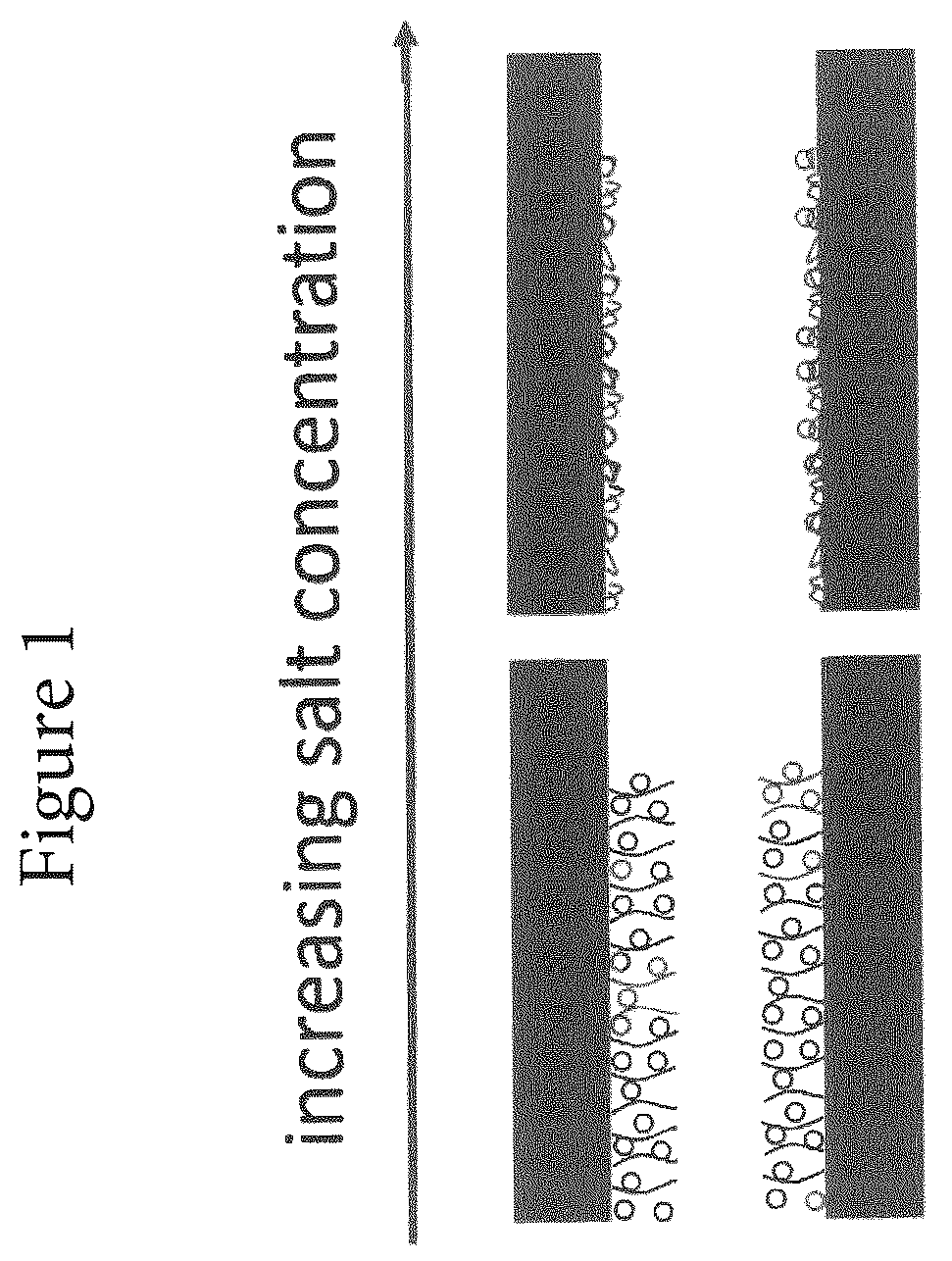 Patent US12092621 — Method of determining the concentration of at least one compound in a chromatography device — Figure 1