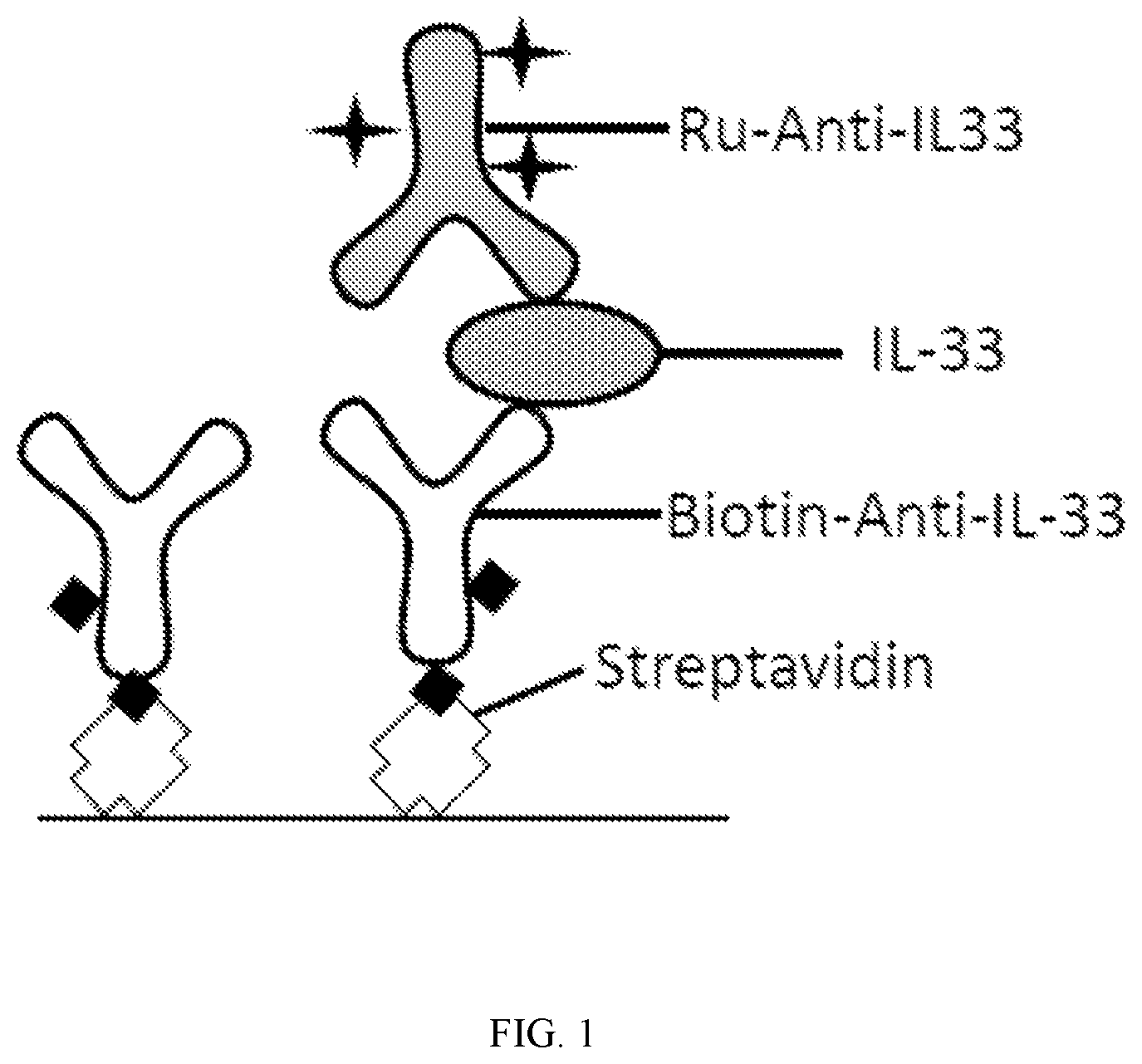 Patent US12092634 — Methods for quantifying IL-33 — Figure 1