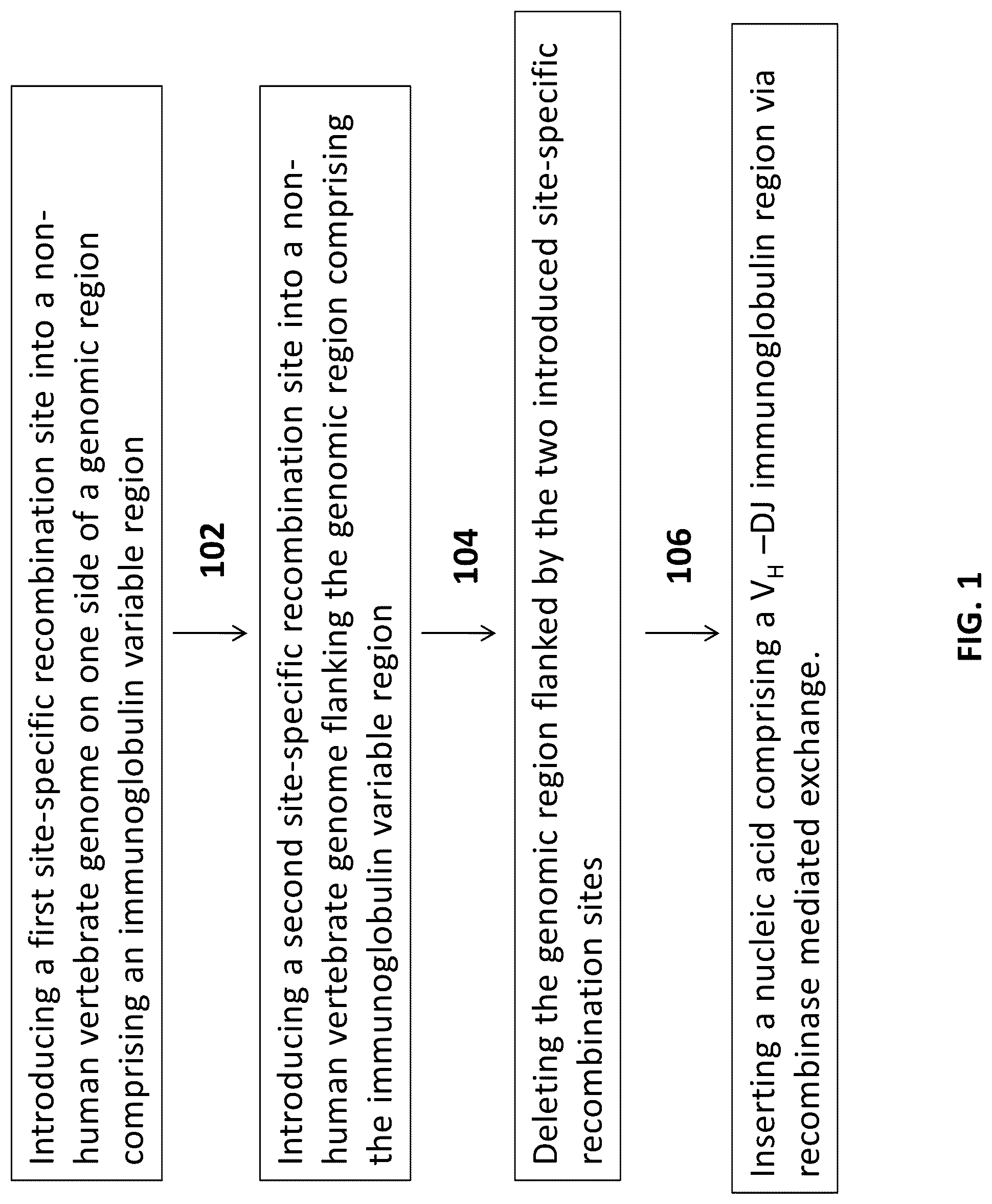 Patent US12096753 Figure 1 – Transgenic animals and methods of use