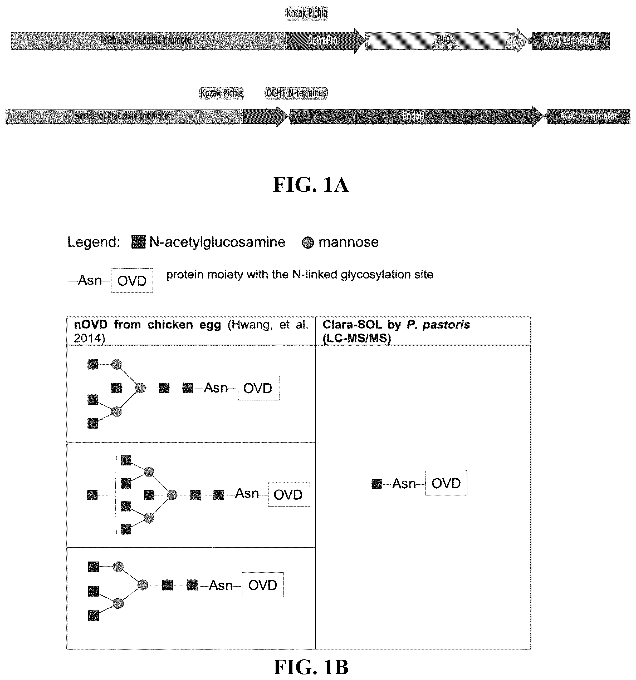 Patent US12096784 — Protein compositions and consumable products thereof — Figure 1