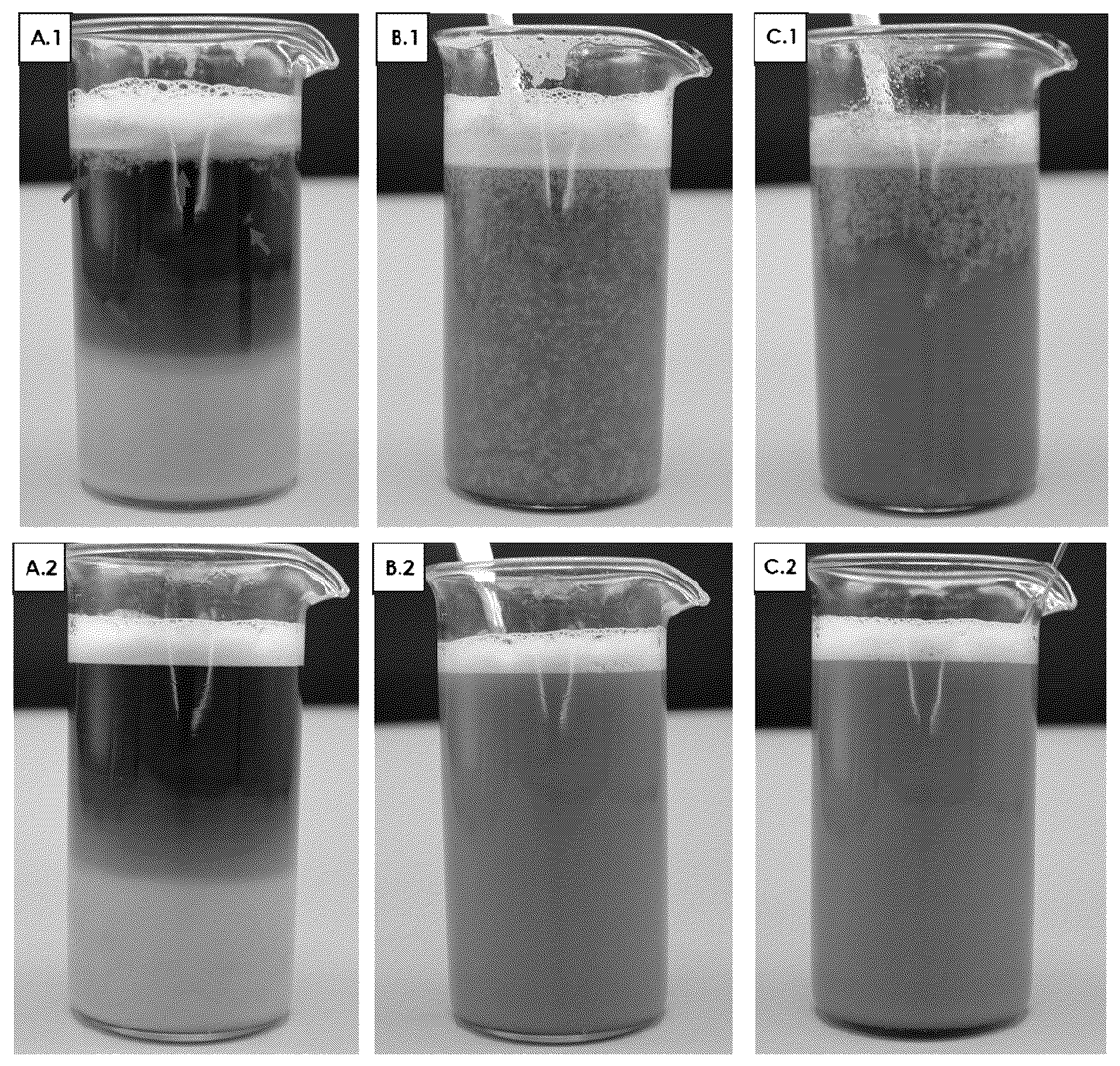Patent US12096786 — Method for obtaining a liquid food product and liquid food product obtained thereof — Figure 1