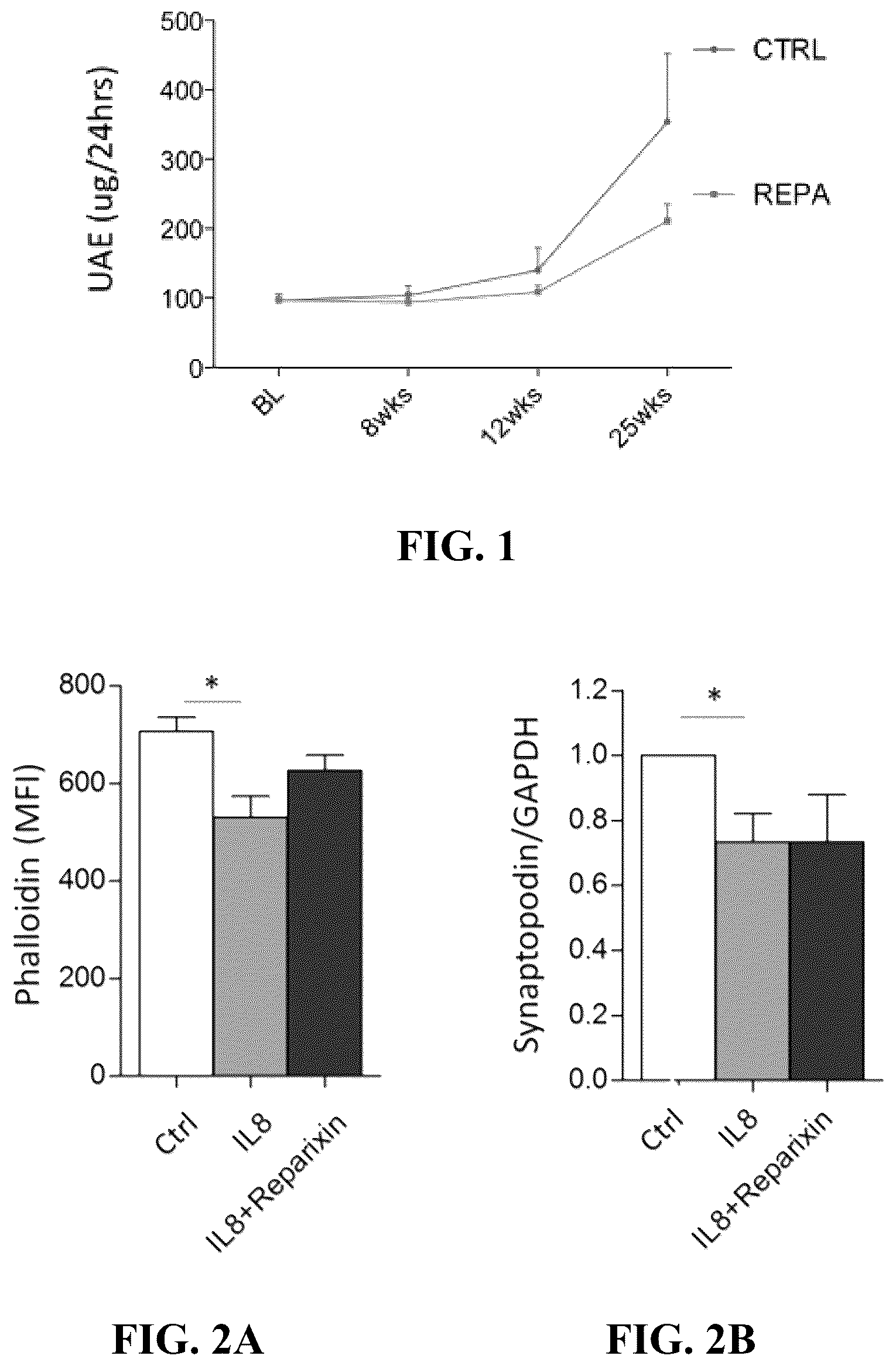 Patent US12097172 — Prevention and treatment of diabetic nephropathy — Figure 1