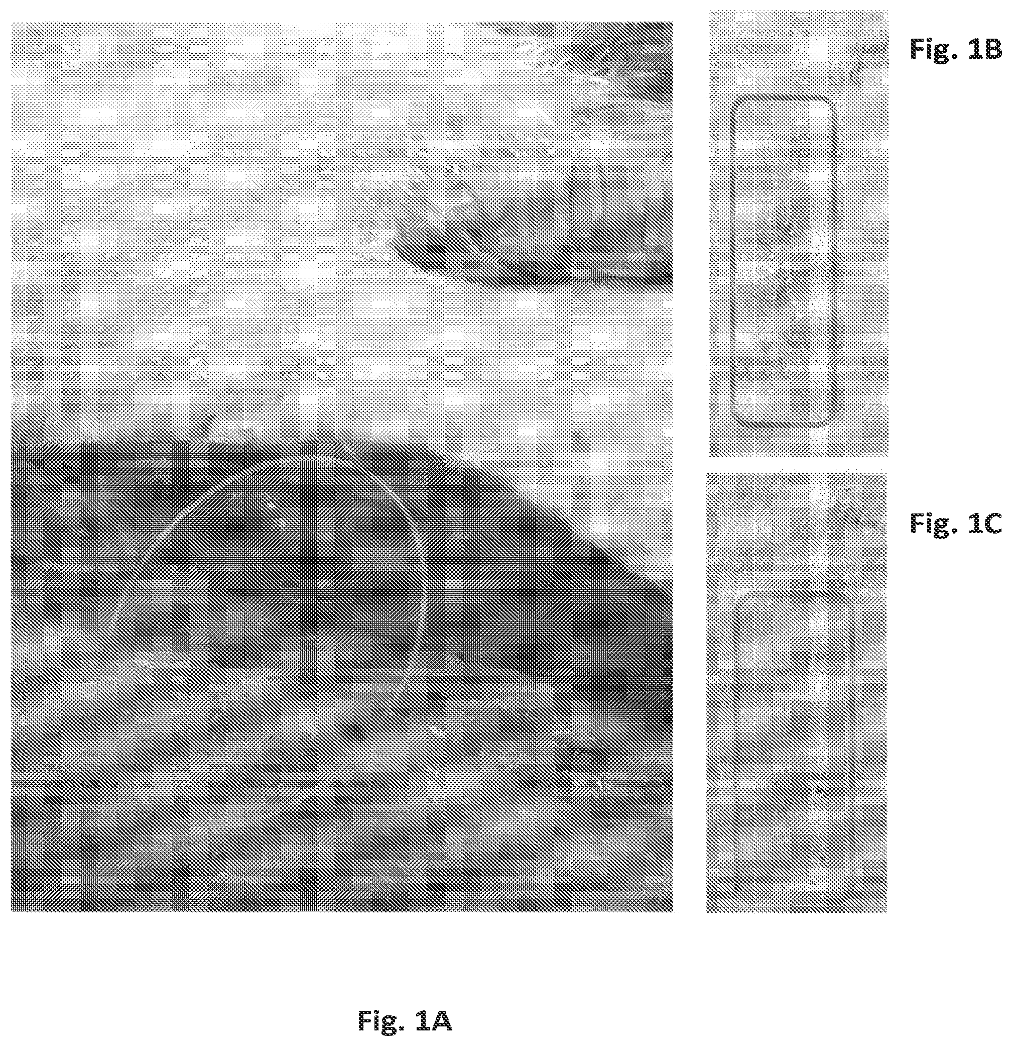 Patent US12097179 — Carbazole derivatives for the treatment of fibrotic diseases and related symptoms, and conditions thereof — Figure 1