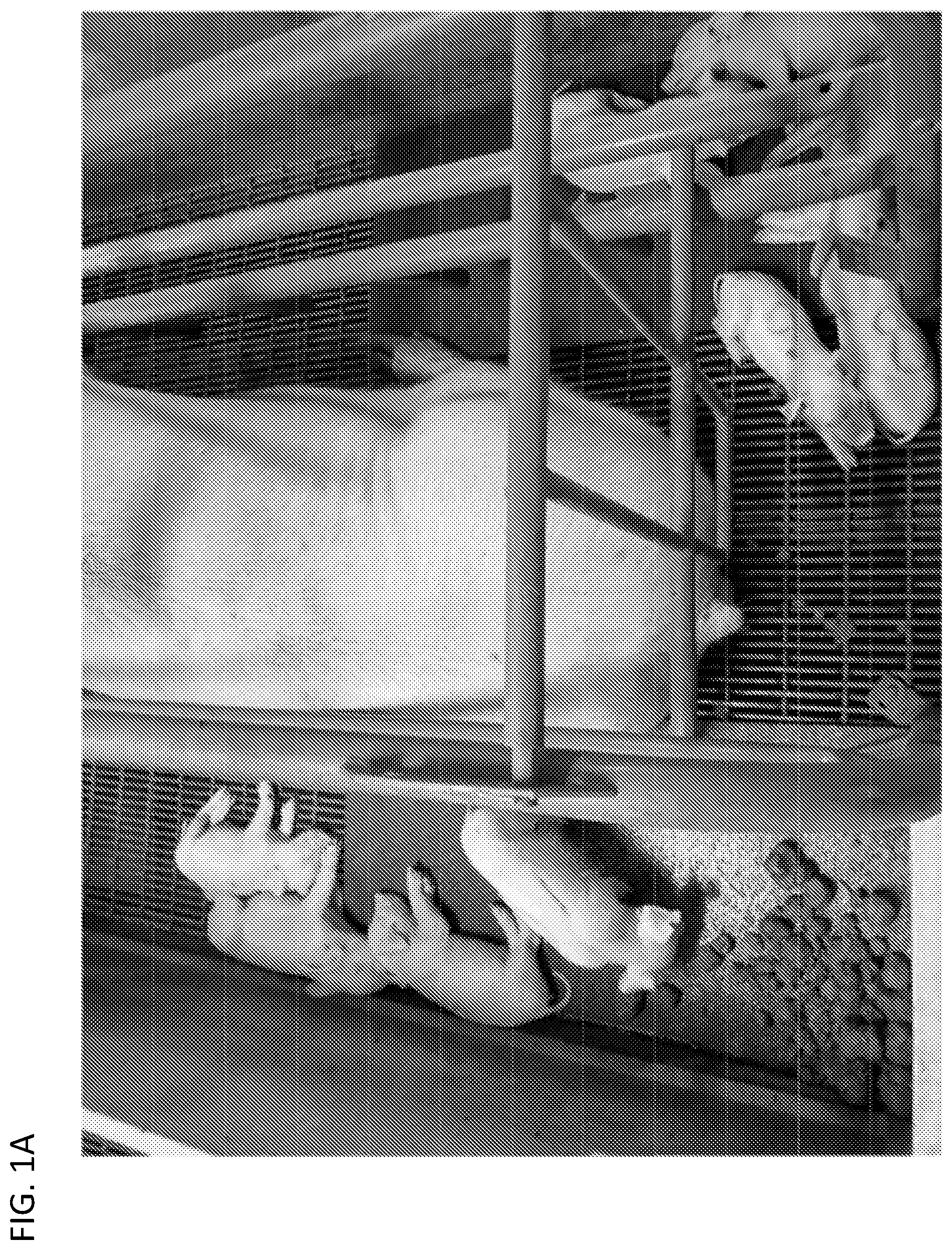 Patent US12097181 — Swine maternal neonatal pheromone — Figure 1