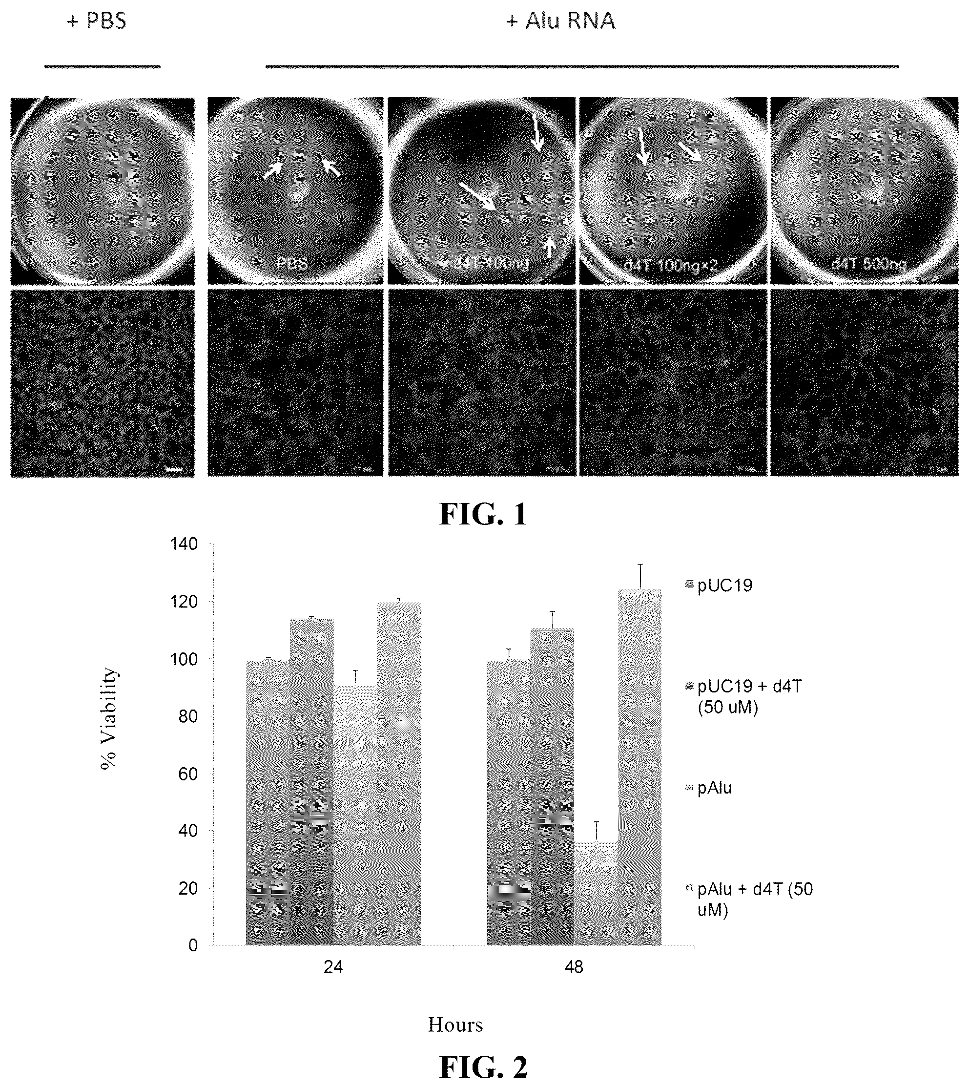 Patent US12097201 — Compositions and methods for treating retinal degradation — Figure 1