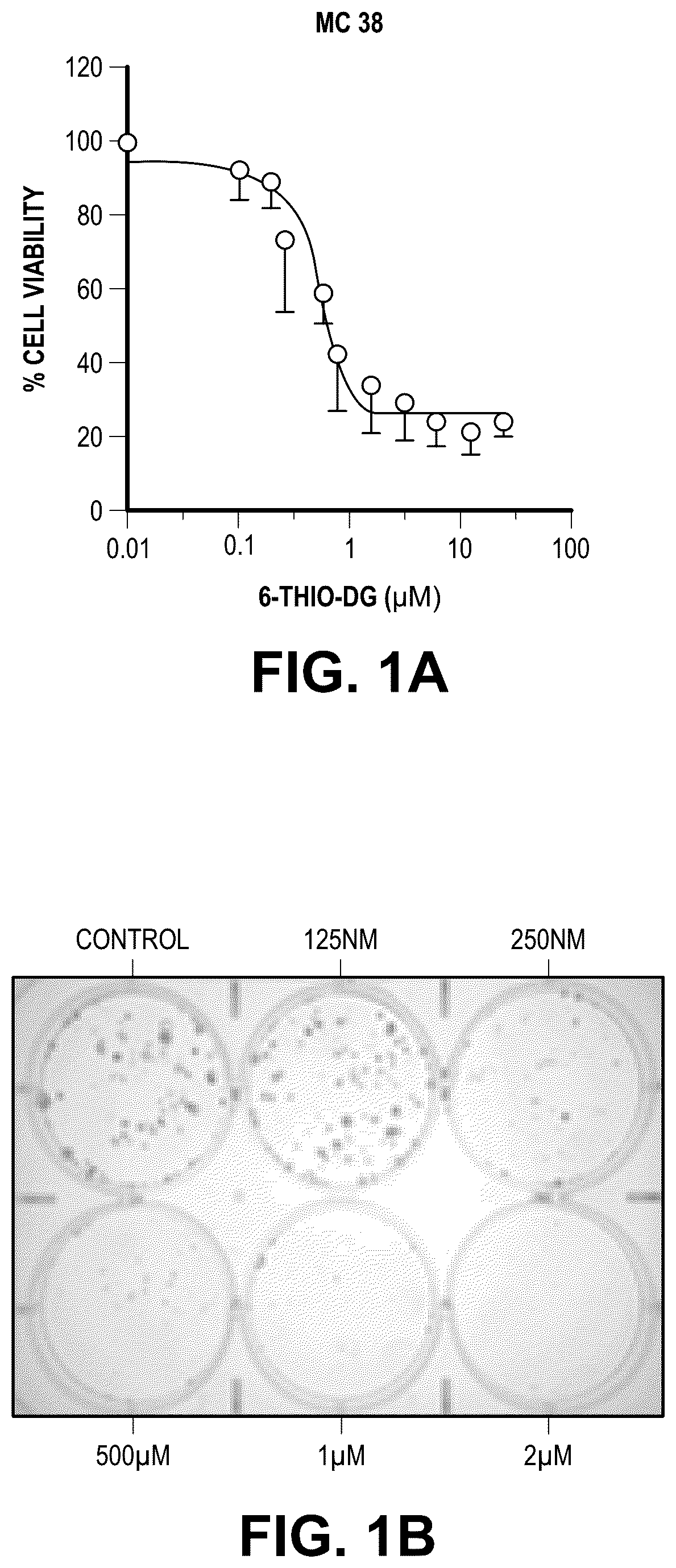 Patent US12097213 — Sequential treatment of cancers using 6-thio-dG, checkpoint inhibitors and radiation therapy — Figure 1